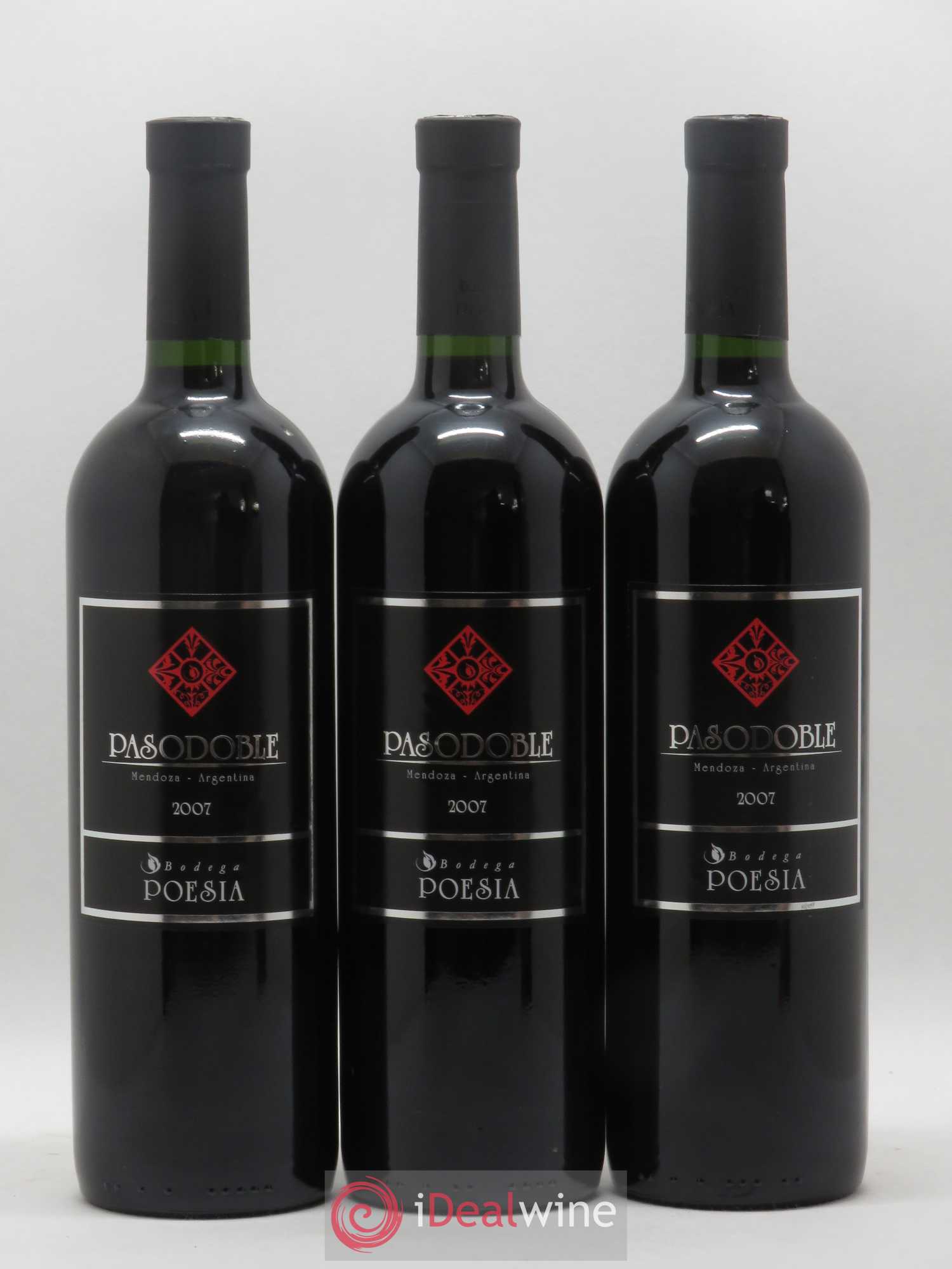 Mendoza Pasodoble Bodega Poesia (sans prix de réserve) 2007 - Posten von 6 Flaschen - 2