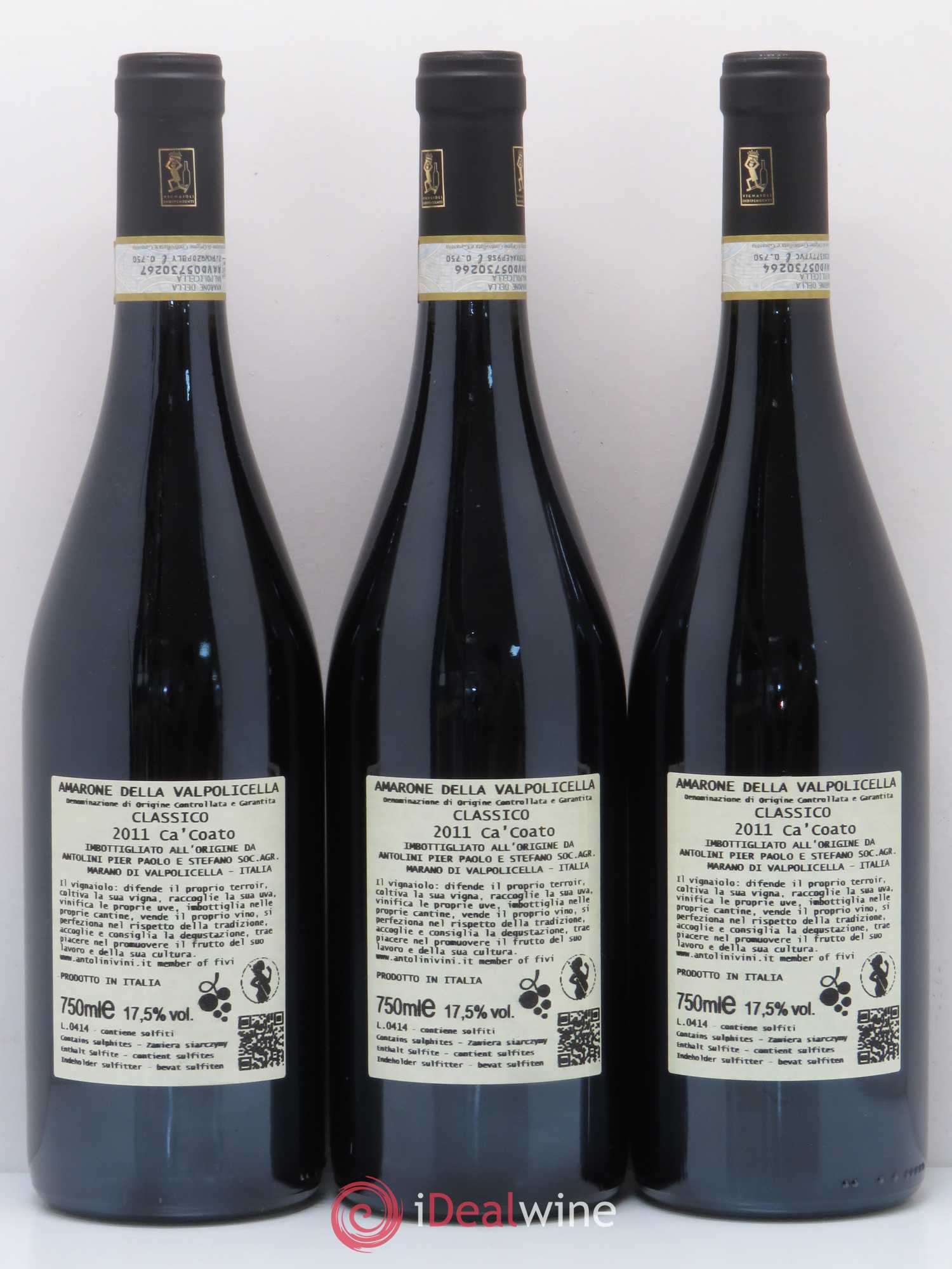 Amarone della Valpolicella DOC Classico Antolini Ca Coato 2011 - Posten von 3 Flaschen - 1