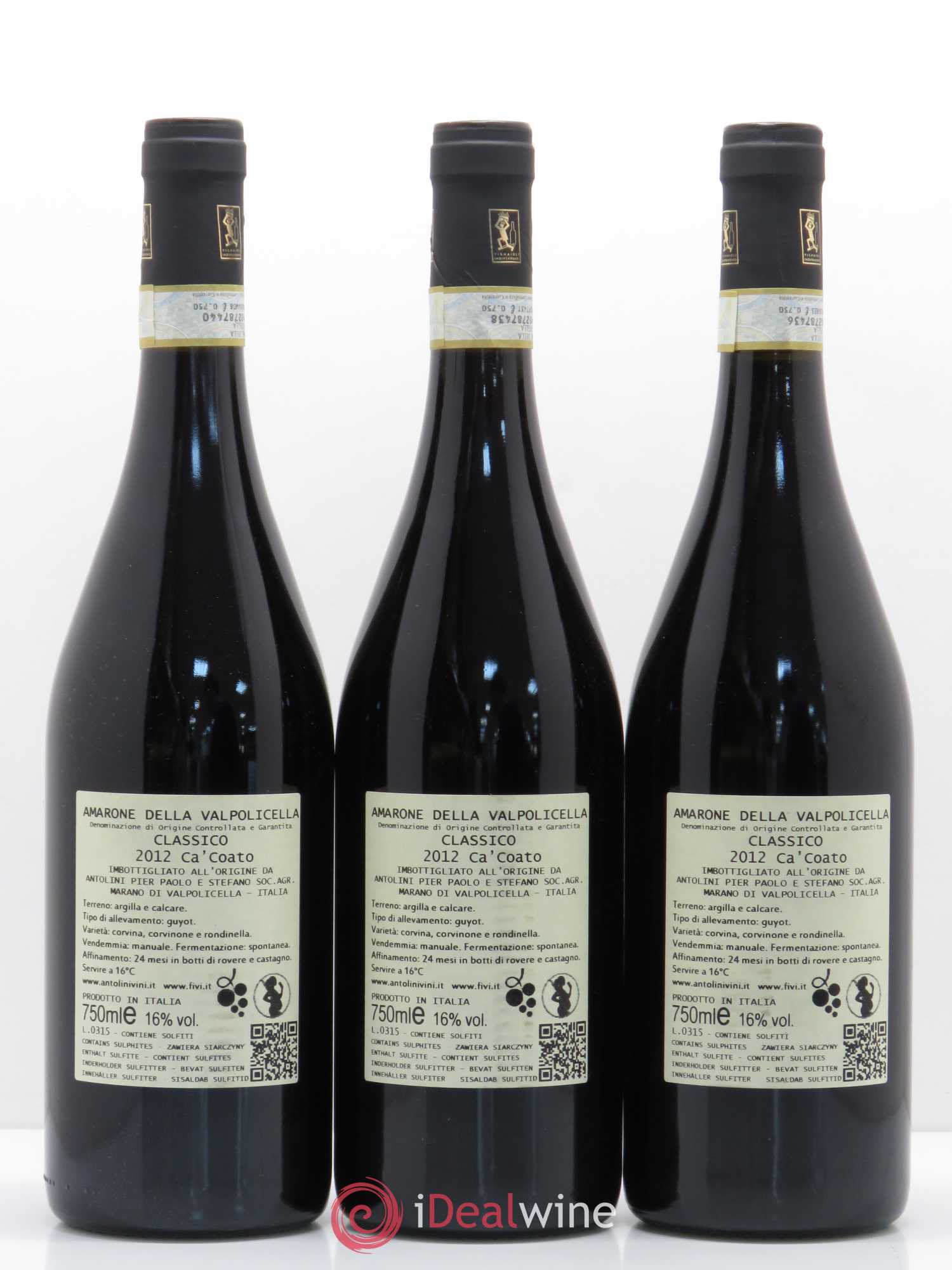 Amarone della Valpolicella DOC Classico Antolini Ca Coato 2012 - Lot de 12 bouteilles - 2
