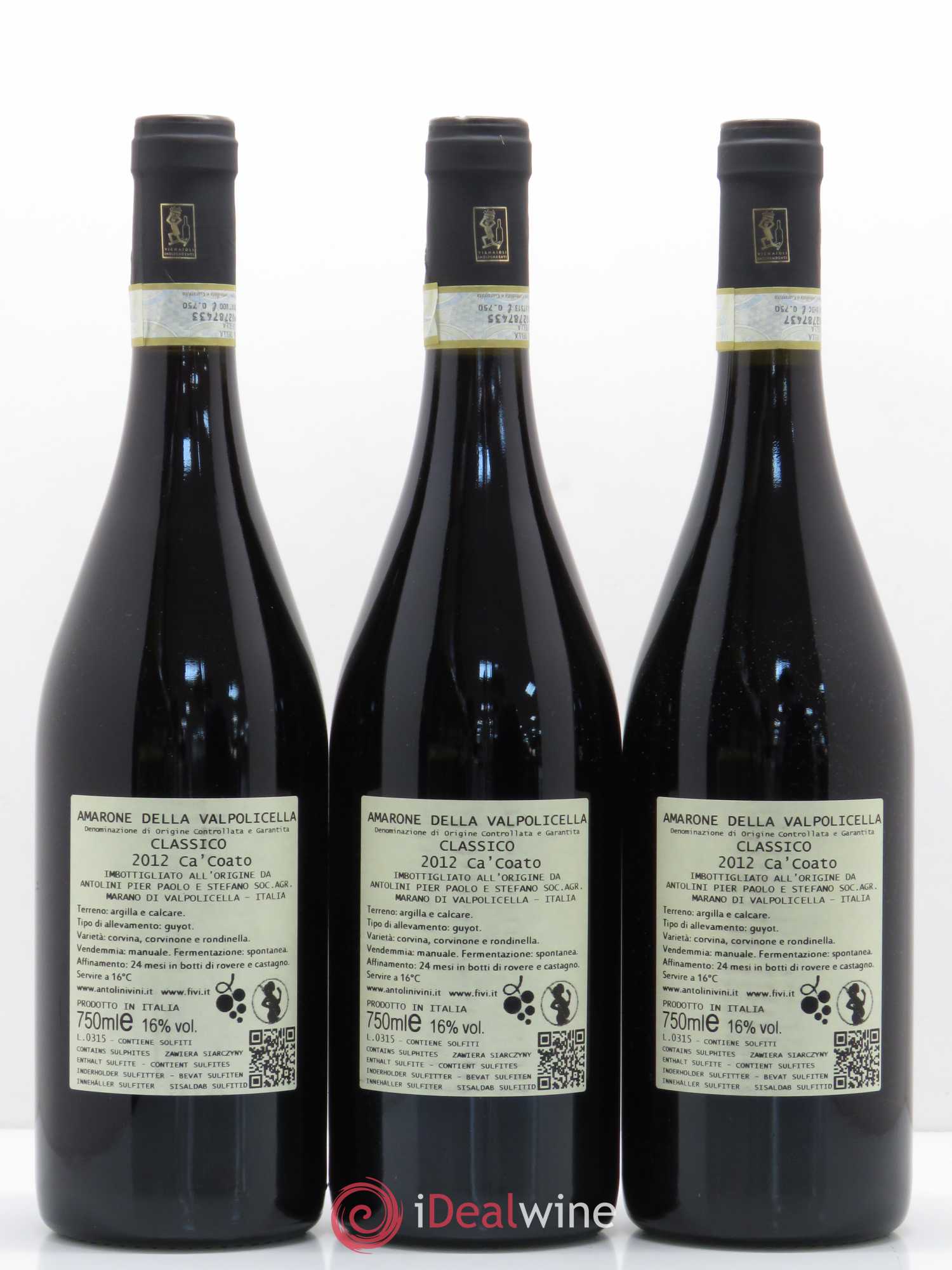 Amarone della Valpolicella DOC Classico Antolini Ca Coato 2012 - Lot de 12 bouteilles - 4