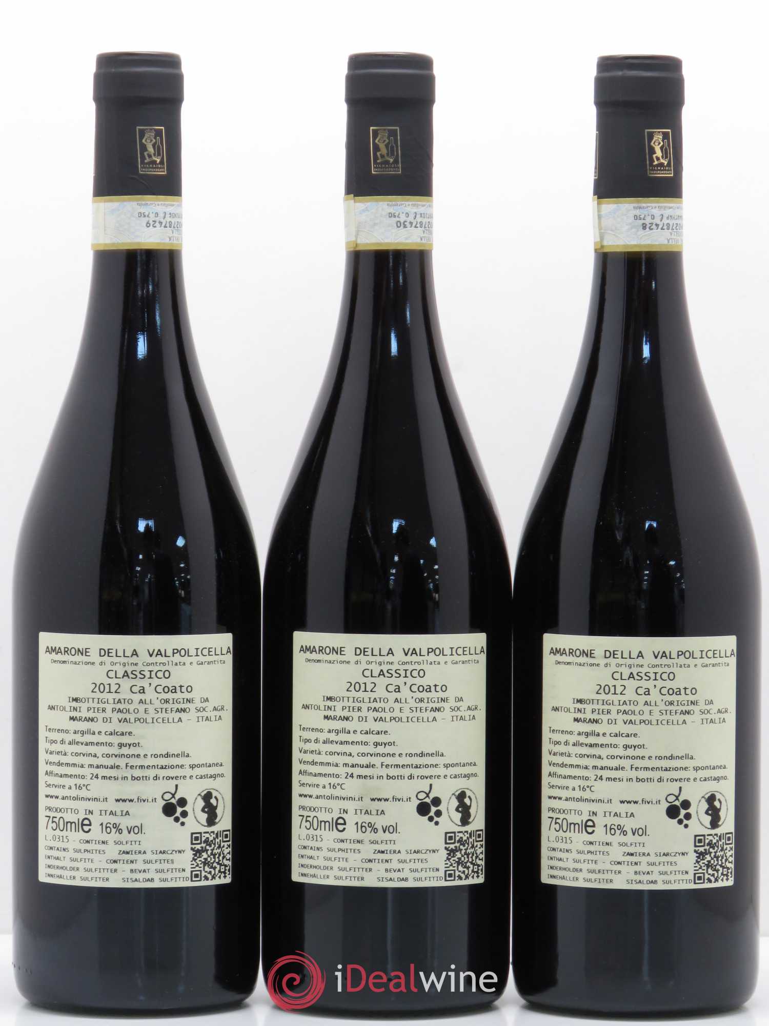 Amarone della Valpolicella DOC Classico Antolini Ca Coato 2012 - Posten von 6 Flaschen - 4