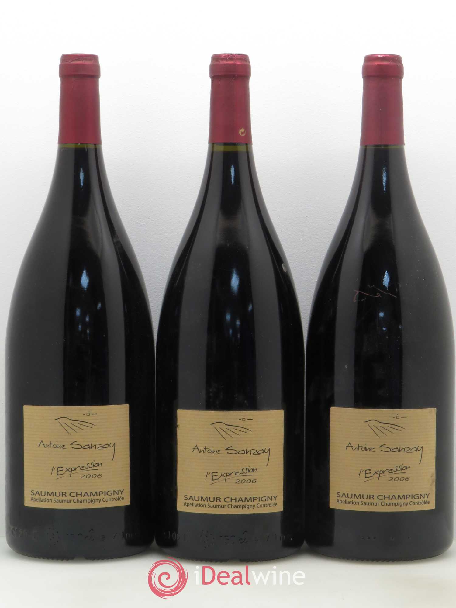 Saumur-Champigny L'Expression Domaine Antoine Sanzay 2006 - Posten von 3 Magnum - 0