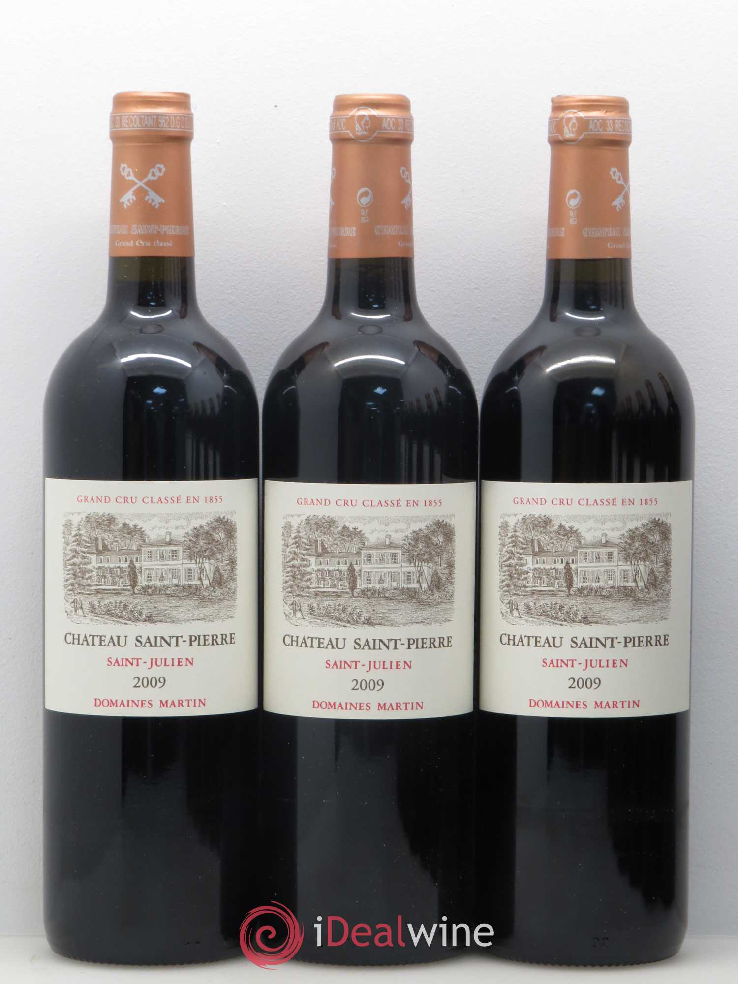 Château Saint-Pierre 4ème Grand Cru Classé 2009 - Lot de 12 bouteilles - 2