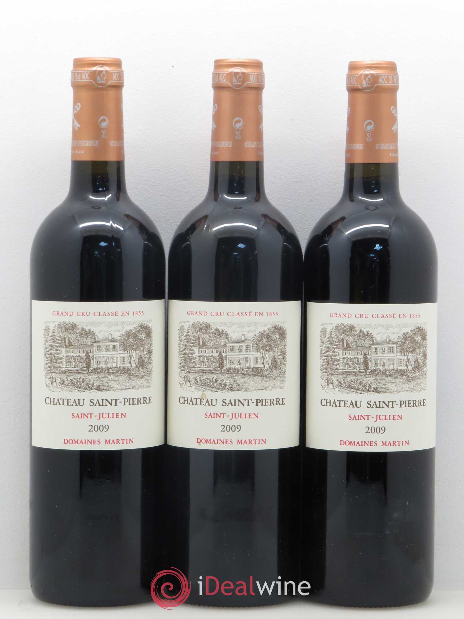 Château Saint-Pierre 4ème Grand Cru Classé 2009 - Lot de 12 bouteilles - 4