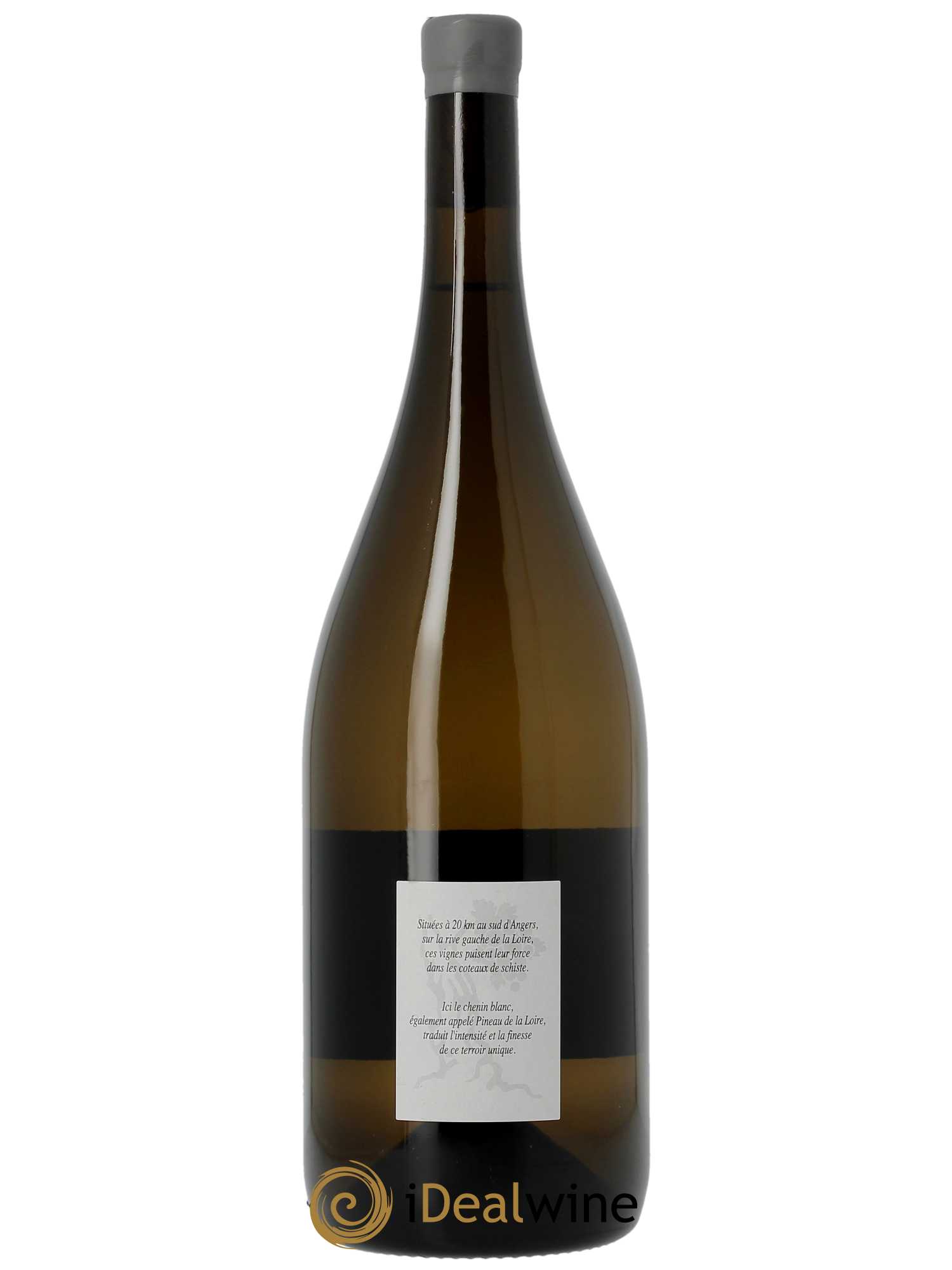 Anjou Thibaud Boudignon  2020 - Lot de 1 magnum - 1