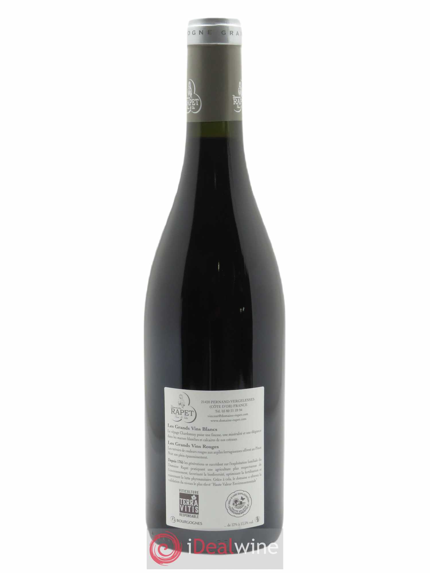 Pernand-Vergelesses 1er Cru Les Vergelesses Rapet Père & Fils 2019 - Lot of 1 bottle - 1