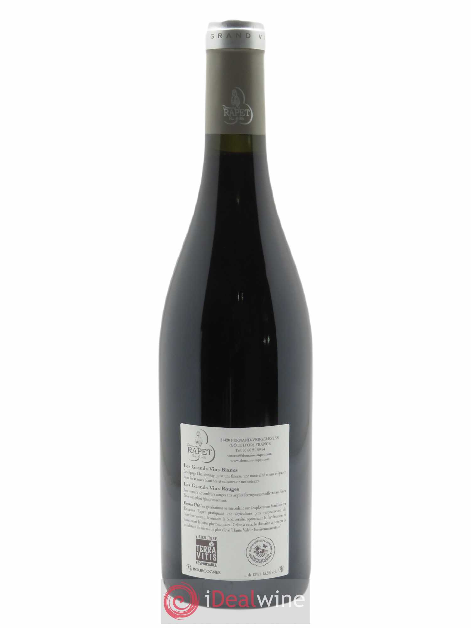 Pernand-Vergelesses Les Belles Filles Rapet Père & Fils 2020 - Lot of 1 bottle - 1