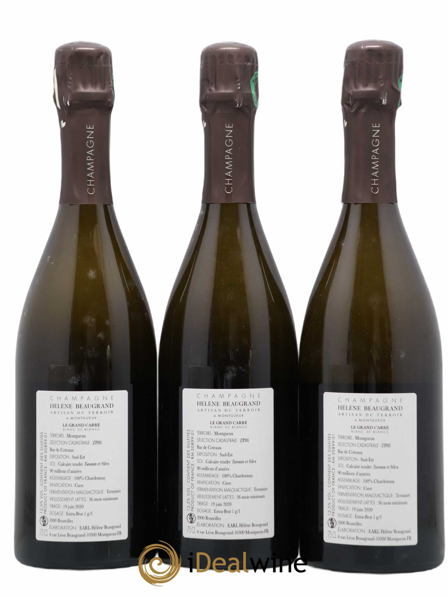 Champagne Le Grand Carré Blanc de Blancs Domaine Hélène Beaugrand - Lot de 3 bouteilles - 1