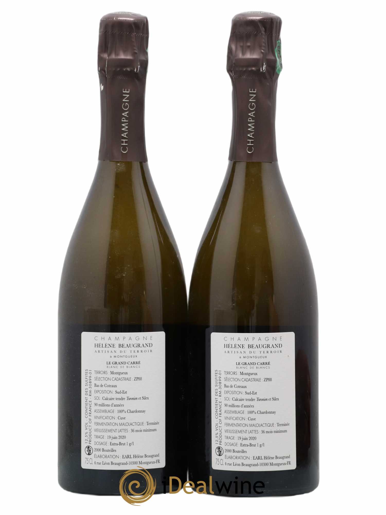 Champagne Le Grand Carré Blanc de Blancs Domaine Hélène Beaugrand - Lot de 2 bouteilles - 1