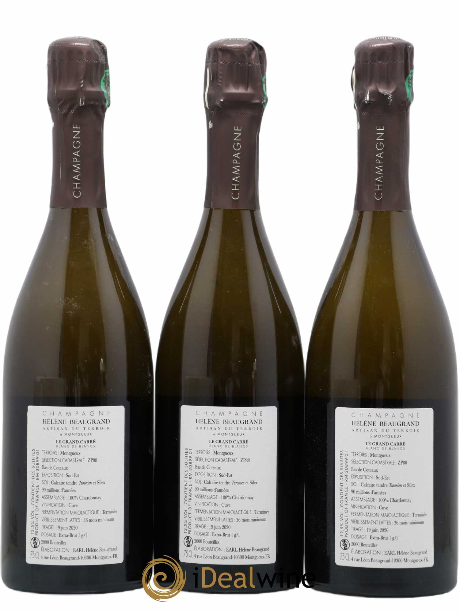 Champagne Le Grand Carré Blanc de Blancs Domaine Hélène Beaugrand - Lot de 3 bouteilles - 1