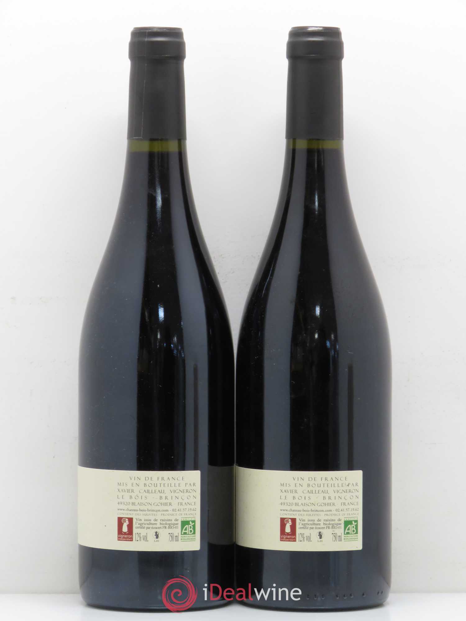Vin de France 80 Château de Bois Brinçon 2010 - Posten von 2 Flaschen - 1