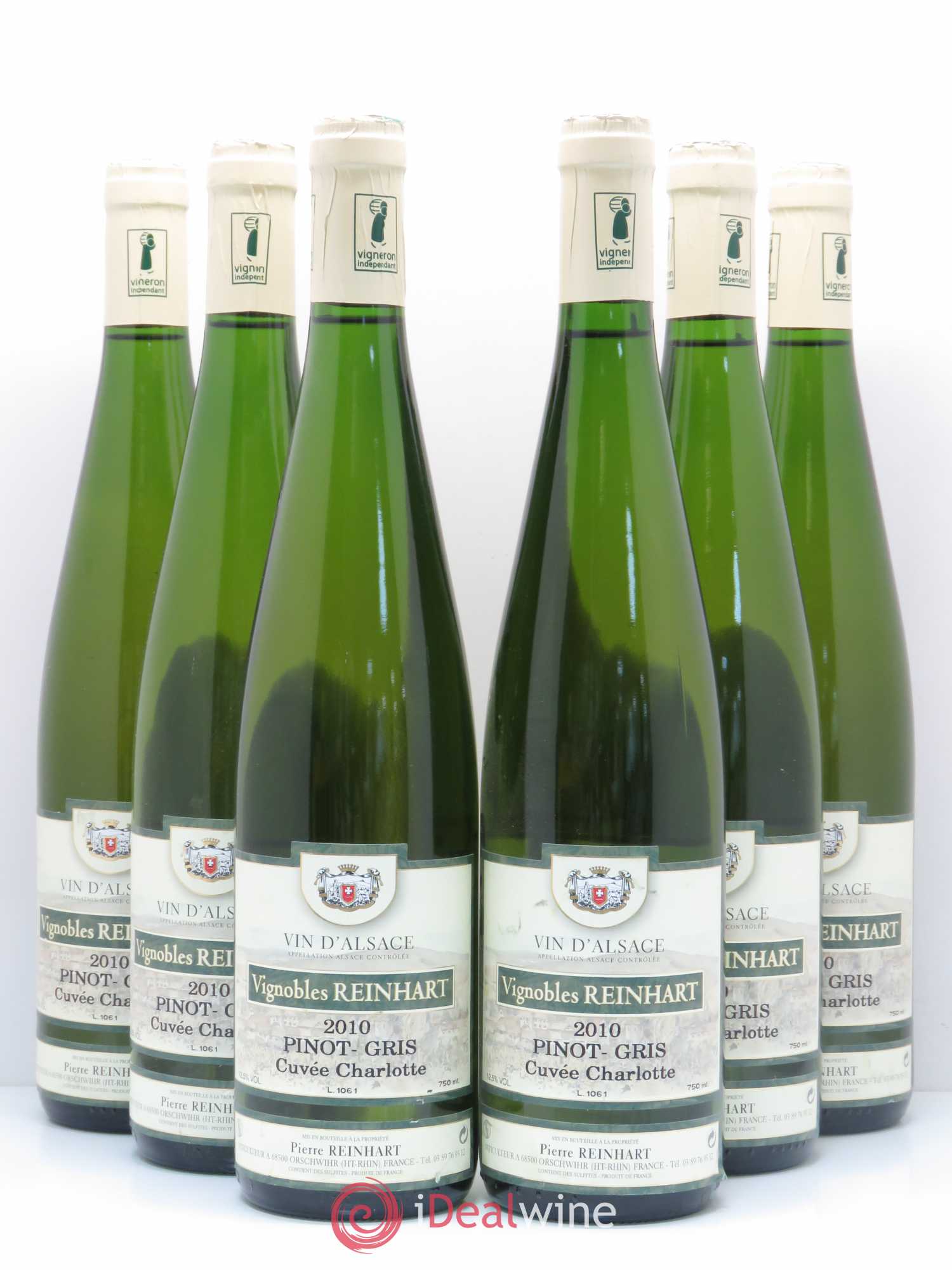 Pinot Gris Charlotte Reinhart (sans prix de réserve) 2010 - Posten von 6 Flaschen - 0