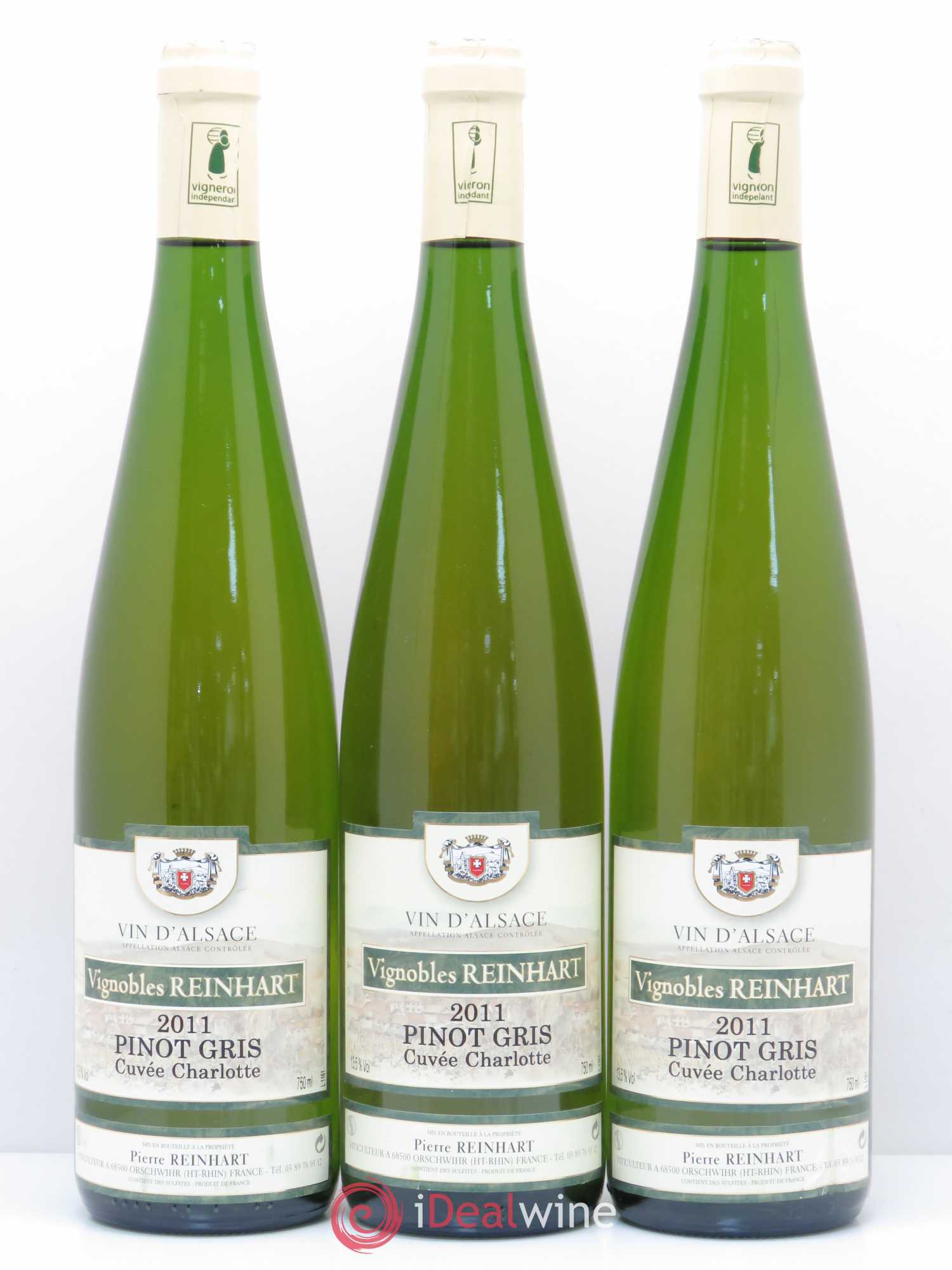 Pinot Gris Charlotte Reinhart (sans prix de réserve) 2011 - Posten von 6 Flaschen - 1