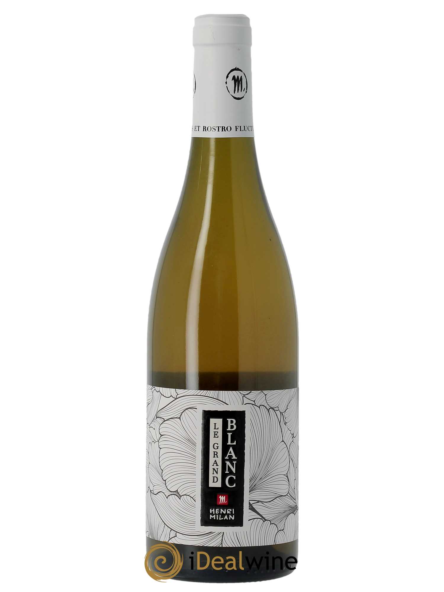 Vin de France Le Grand Blanc Henri Milan 2020 - Lot of 1 bottle - 0