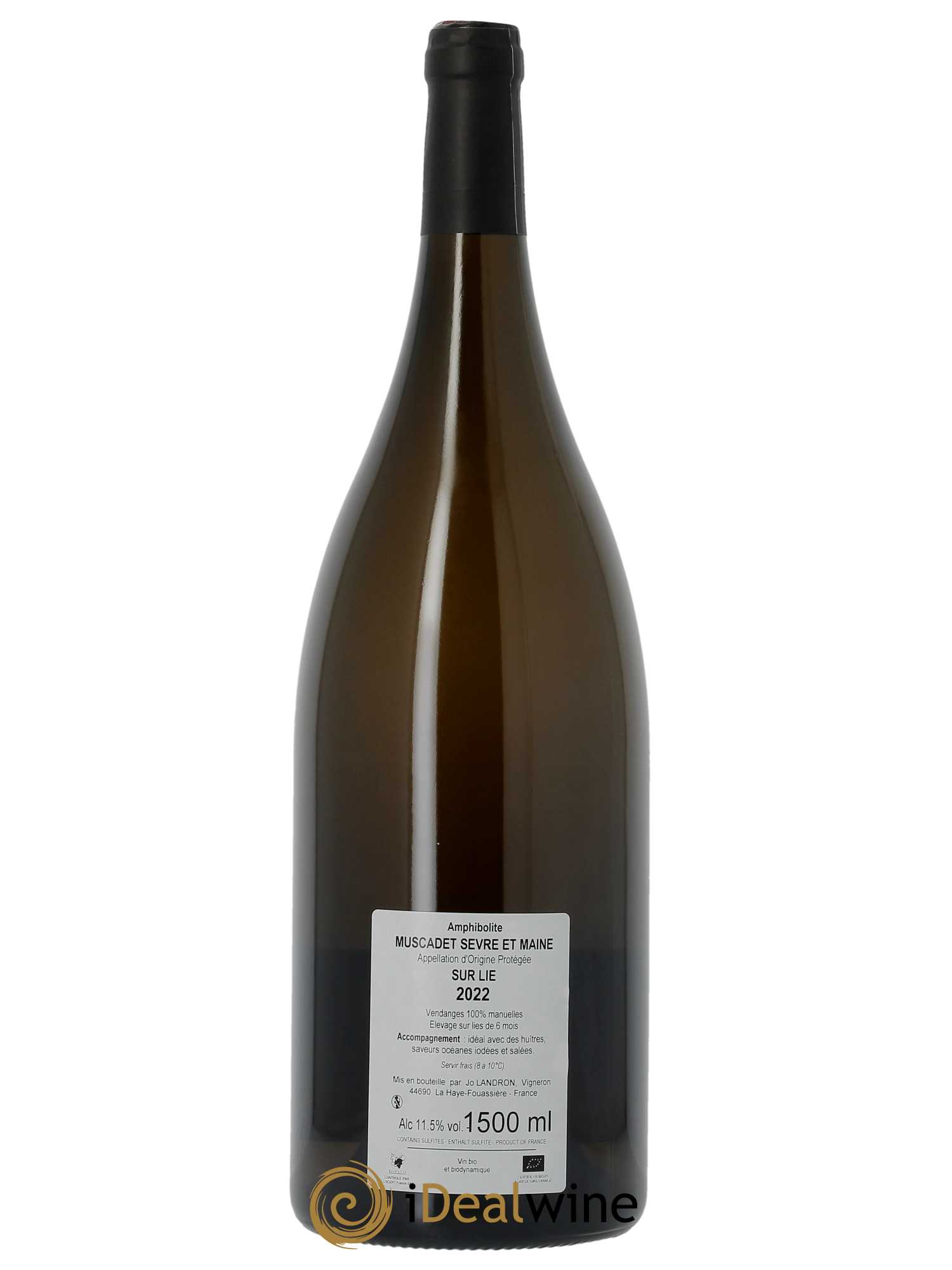 Muscadet-Sèvre-et-Maine Amphibolite Jo Landron 2022 - Lot of 1 magnum - 1