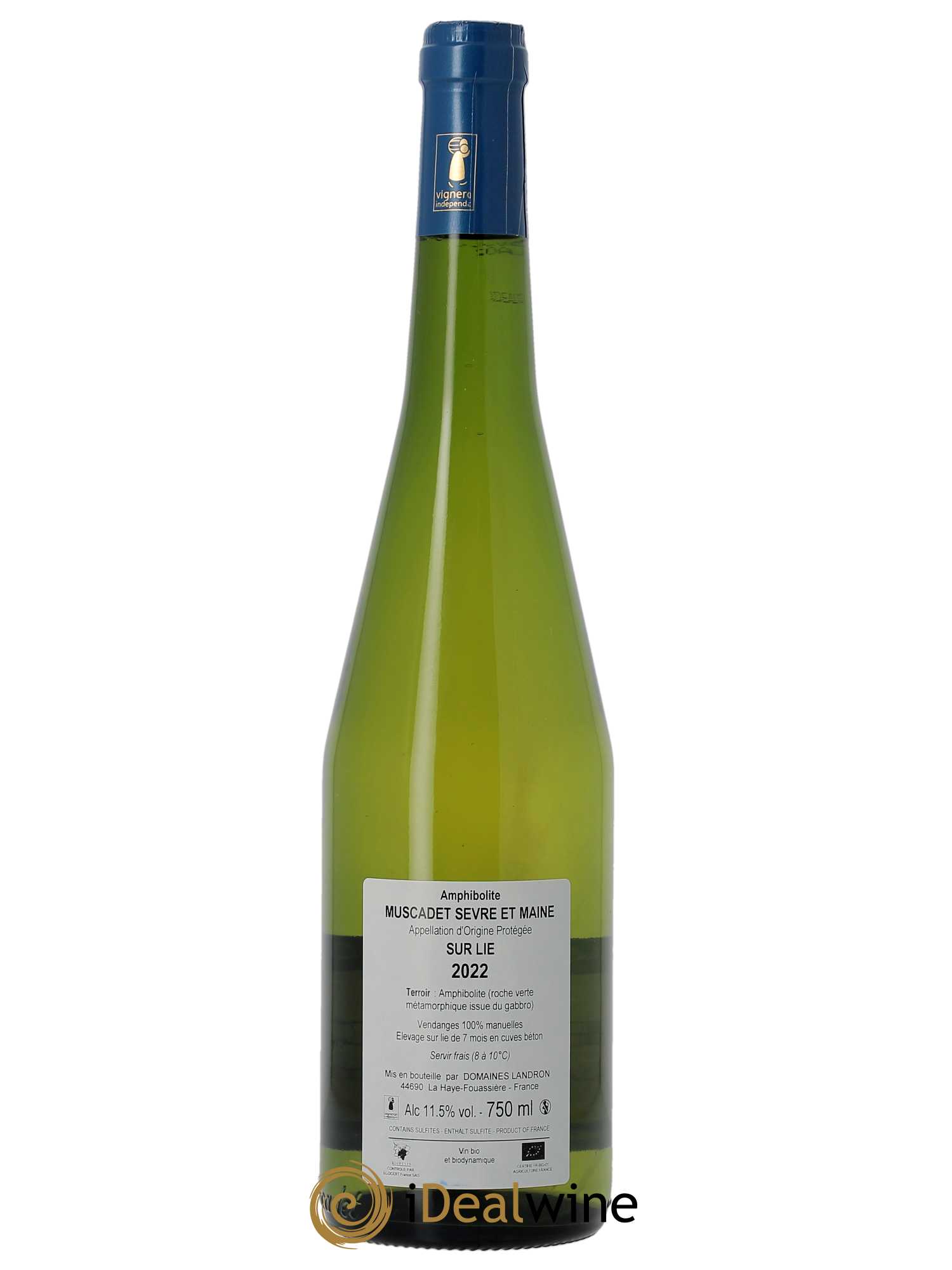 Muscadet-Sèvre-et-Maine Amphibolite Jo Landron 2022 - Lot of 1 bottle - 1