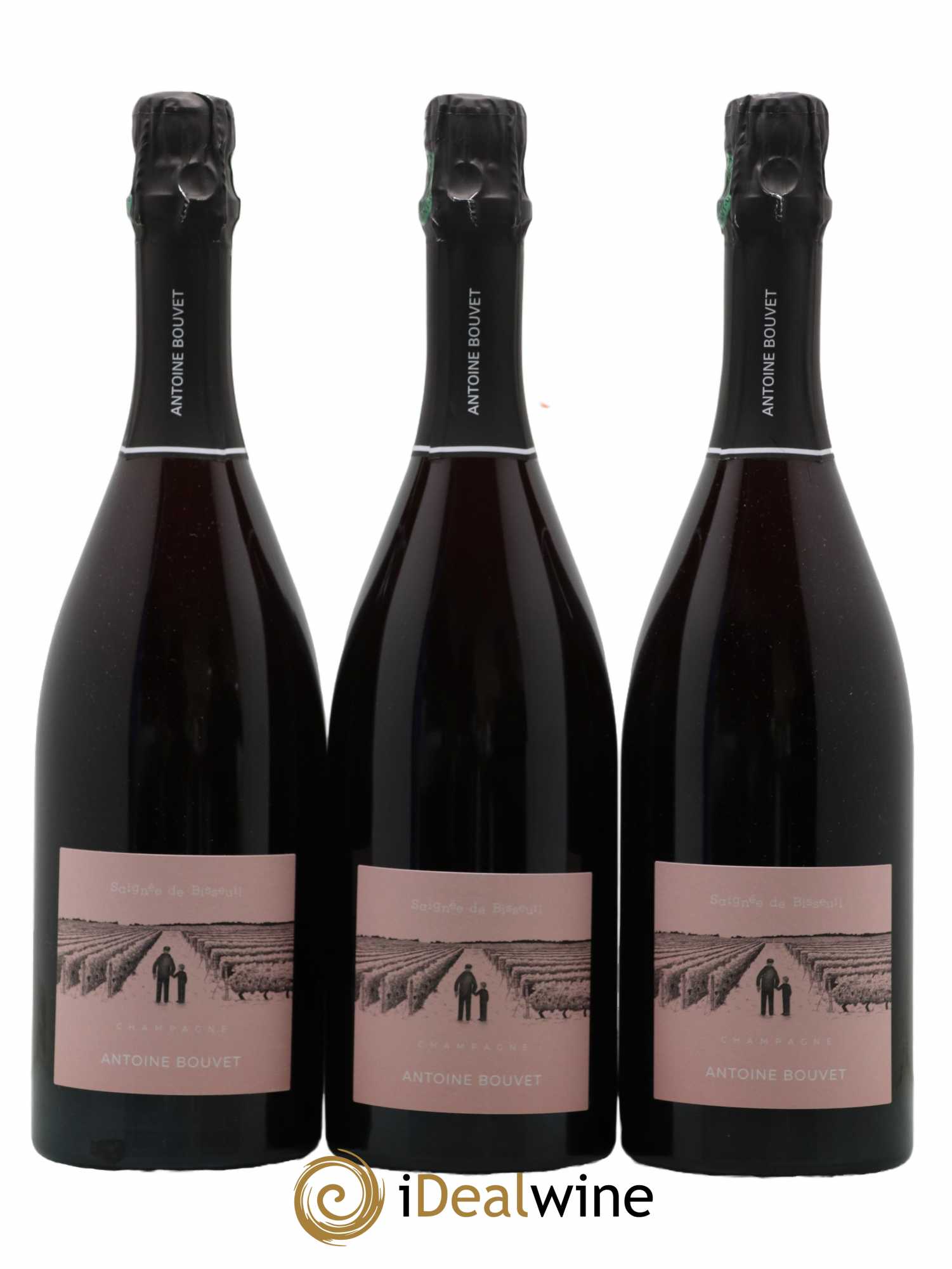 Saignée de Bisseuil les Pautes Extra-Brut Antoine Bouvet 2019 - Lot de 3 bouteilles - 0