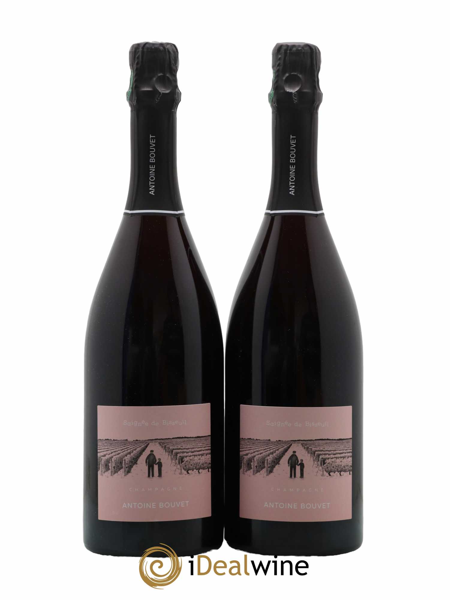 Saignée de Bisseuil les Pautes Extra-Brut Antoine Bouvet 2019 - Lot de 2 bouteilles - 0