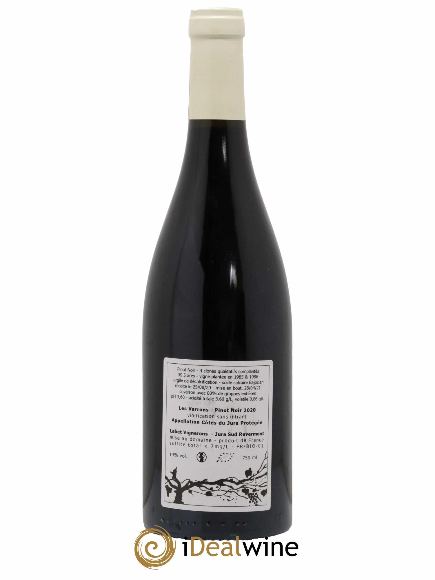 Côtes du Jura Pinot Noir Les Varrons Sélection Massale Romain - Julien - Charline Labet 2020 - Lot de 1 bouteille - 1