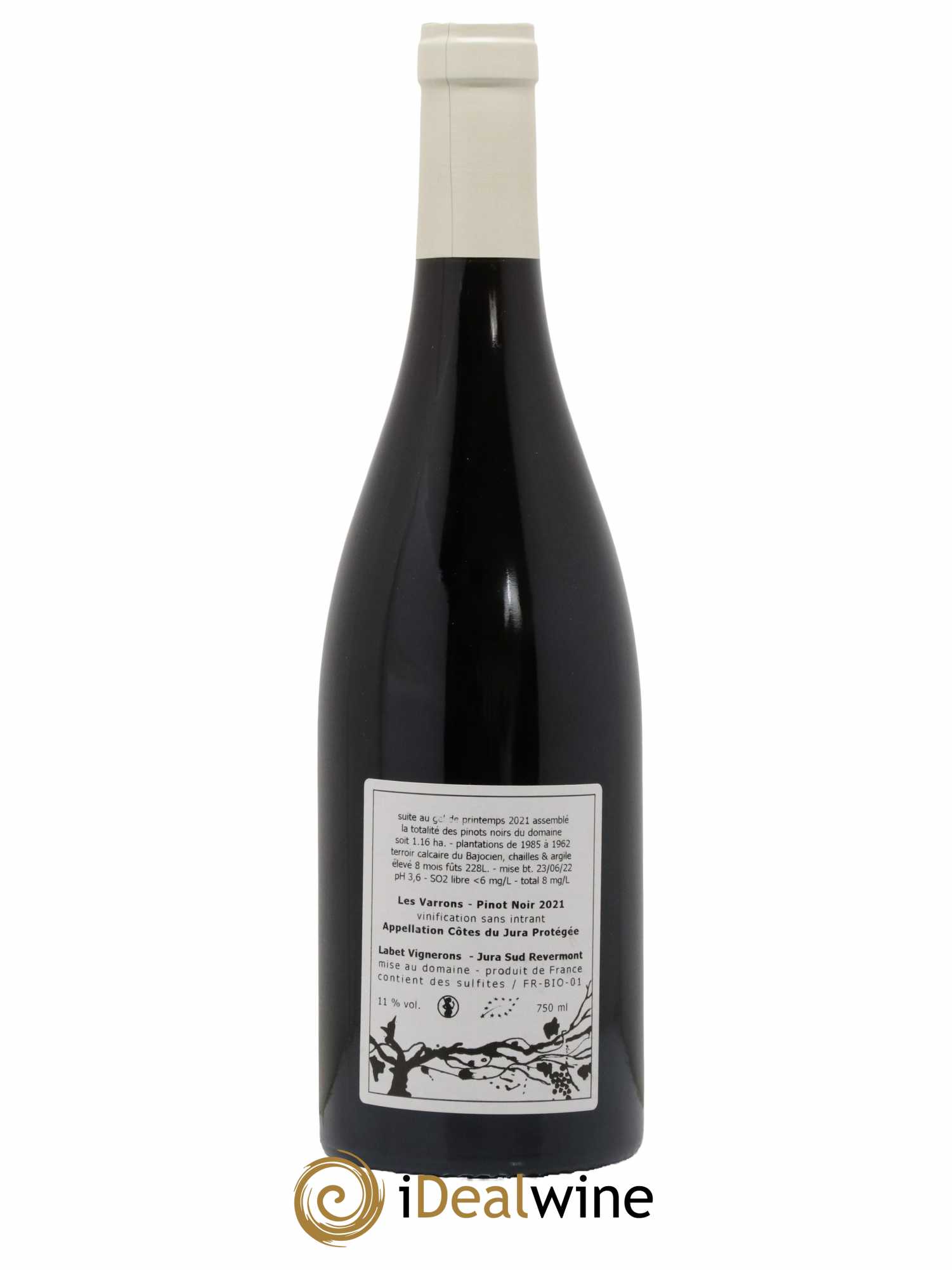 Côtes du Jura Pinot Noir Les Varrons Sélection Massale Romain - Julien - Charline Labet 2021 - Lot de 1 bouteille - 1