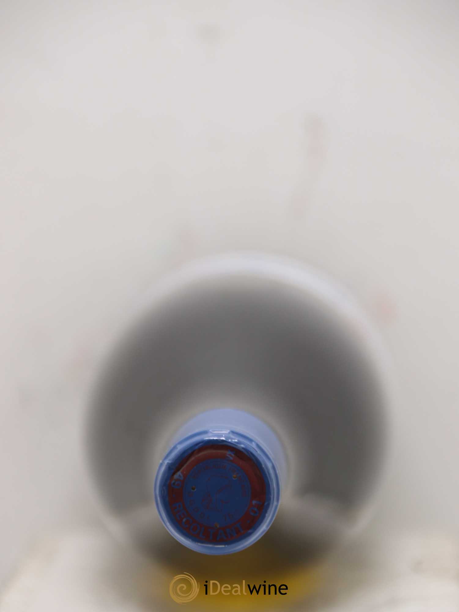 Vin de France Les Noëls de Montbenault Richard Leroy (sans prix de réserve) 2017 - Lot de 1 bouteille - 1