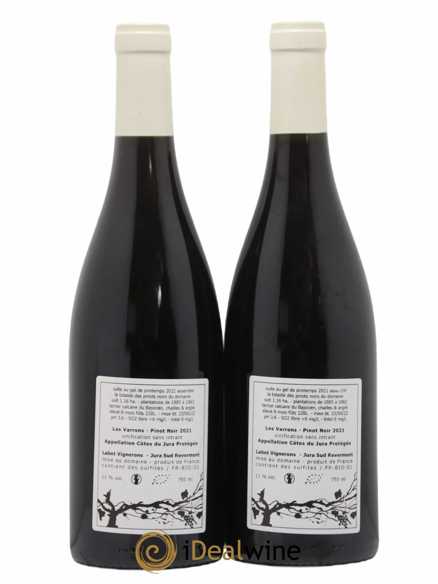 Côtes du Jura Pinot Noir Les Varrons Sélection Massale Romain - Julien  - Charline Labet 2021 - Lot of 2 bottles - 1