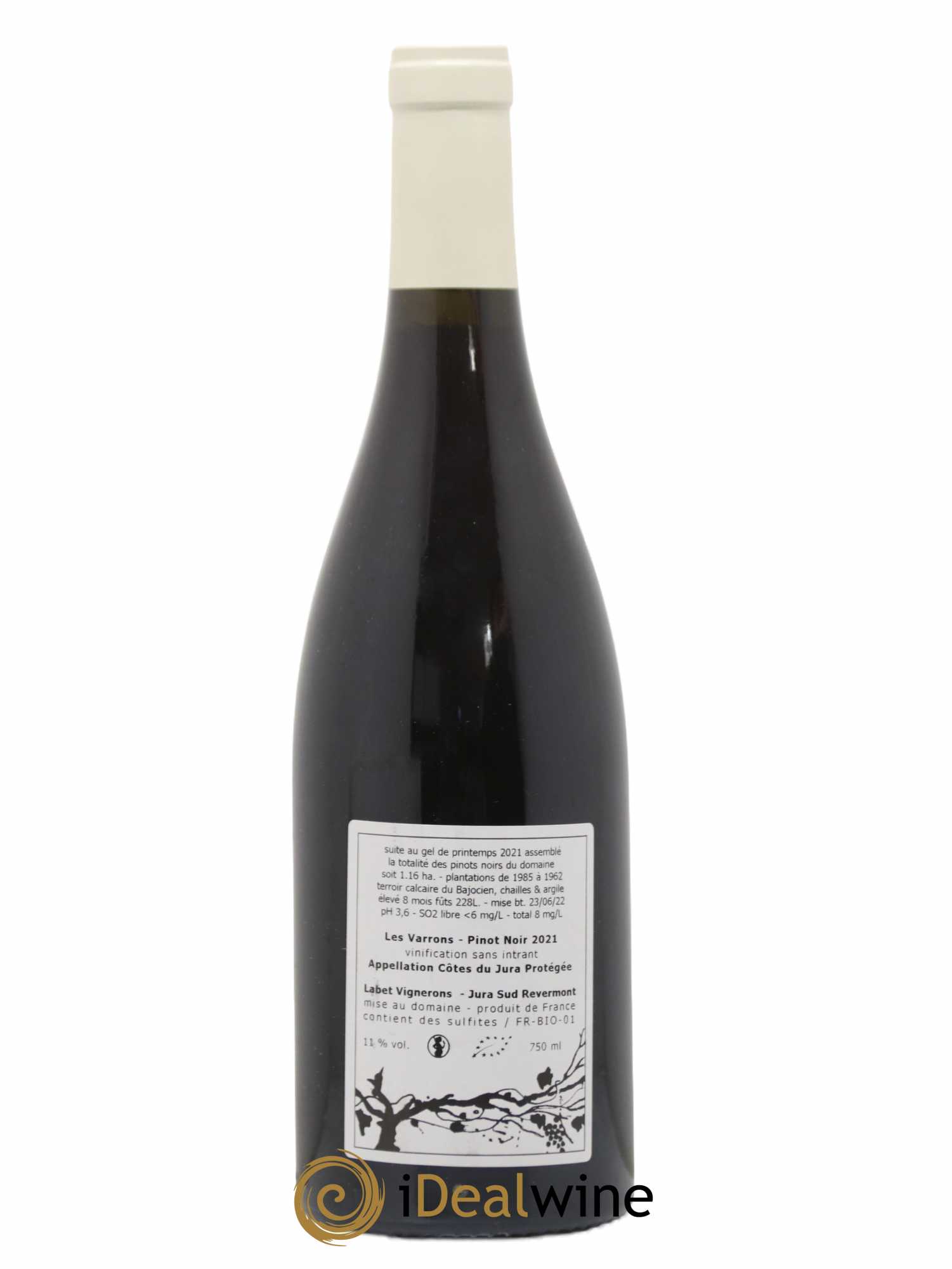 Côtes du Jura Pinot Noir Les Varrons Sélection Massale Romain - Julien - Charline Labet 2021 - Lot of 1 bottle - 1