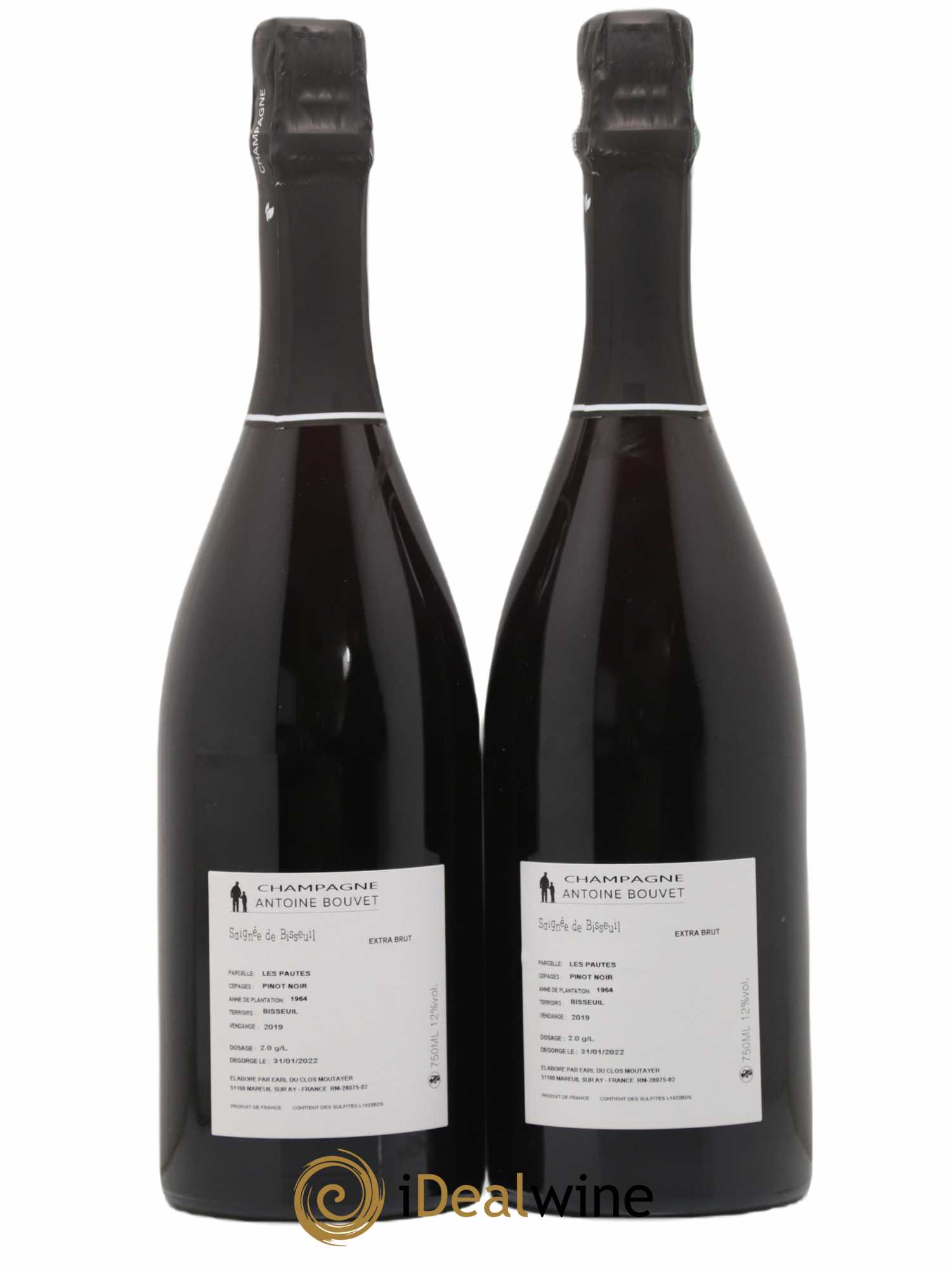 Champagne - 2019 - Posten von 2 Flaschen - 1