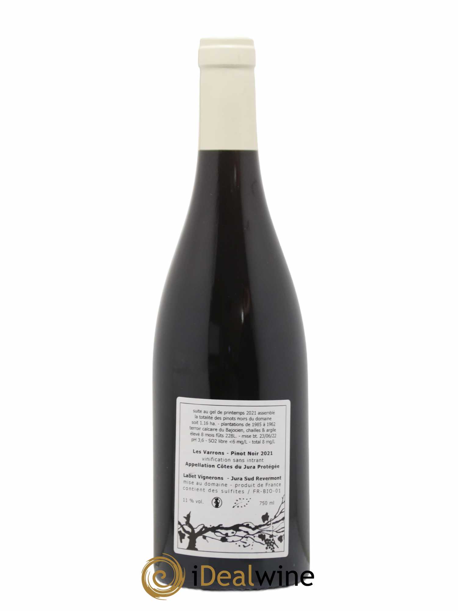 Côtes du Jura Pinot Noir Les Varrons Sélection Massale Romain - Julien  - Charline Labet 2021 - Lot of 1 bottle - 1