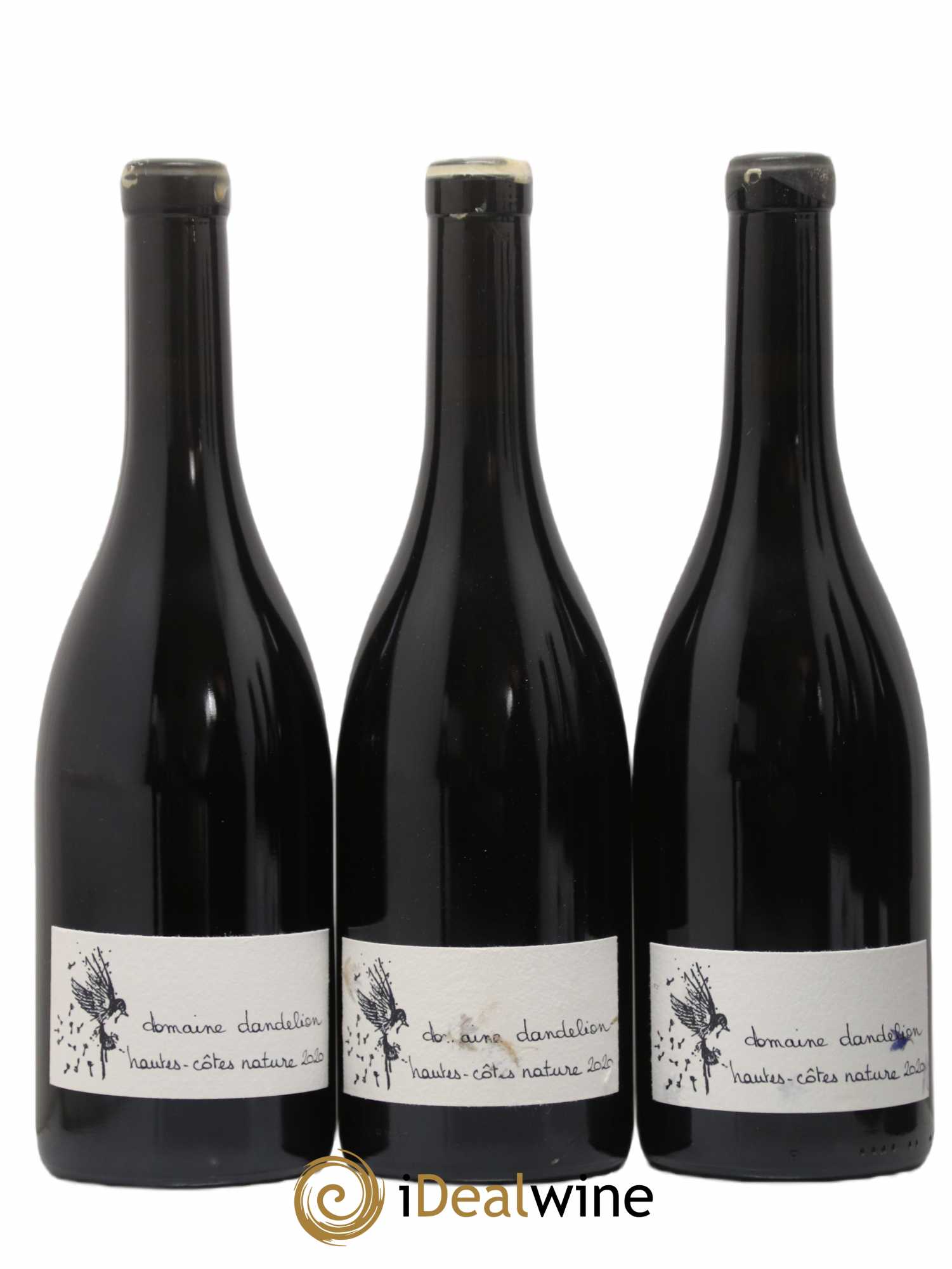 Hautes-Côtes de Beaune Nature Dandelion (Domaine) 2020 - Lot of 6 bottles - 1