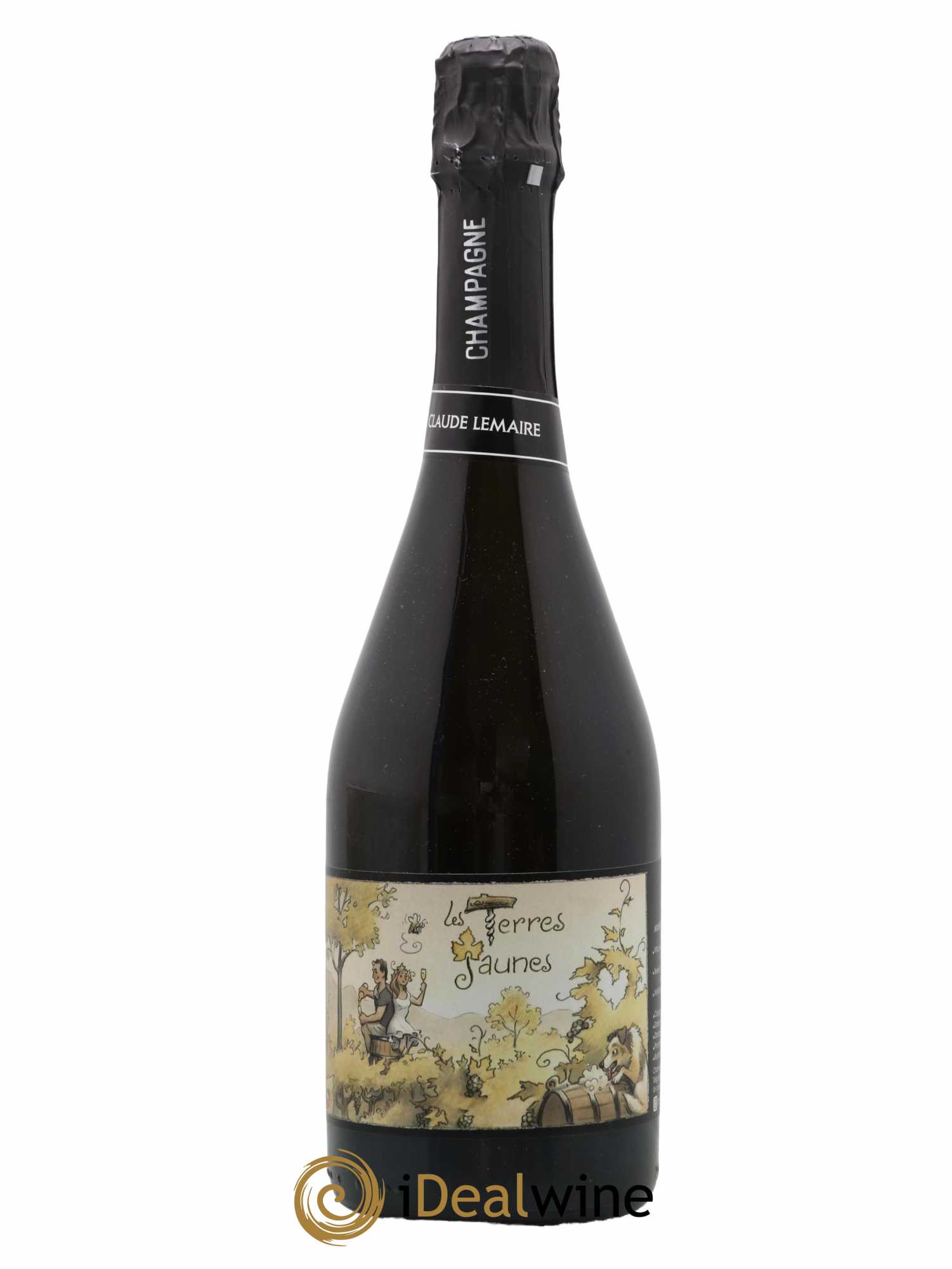 Les Terres Jaunes Aurélien Lemaire 2019 - Lot de 1 bouteille - 0