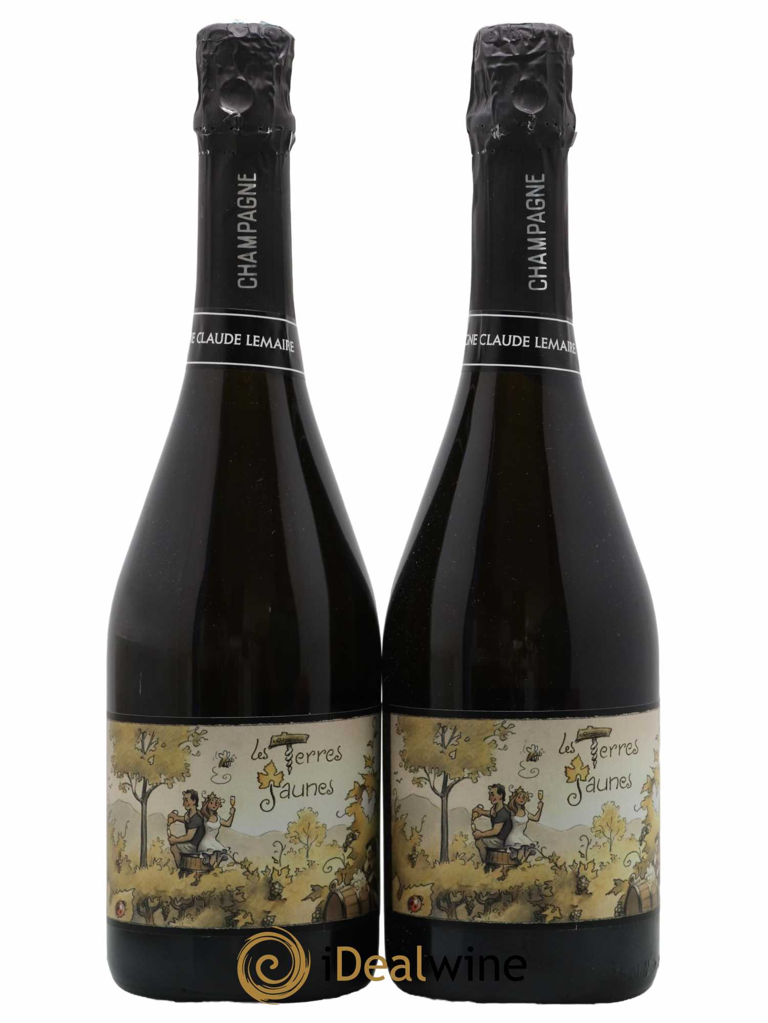 Les Terres Jaunes Aurélien Lemaire 2019 - Lot de 2 bouteilles - 0