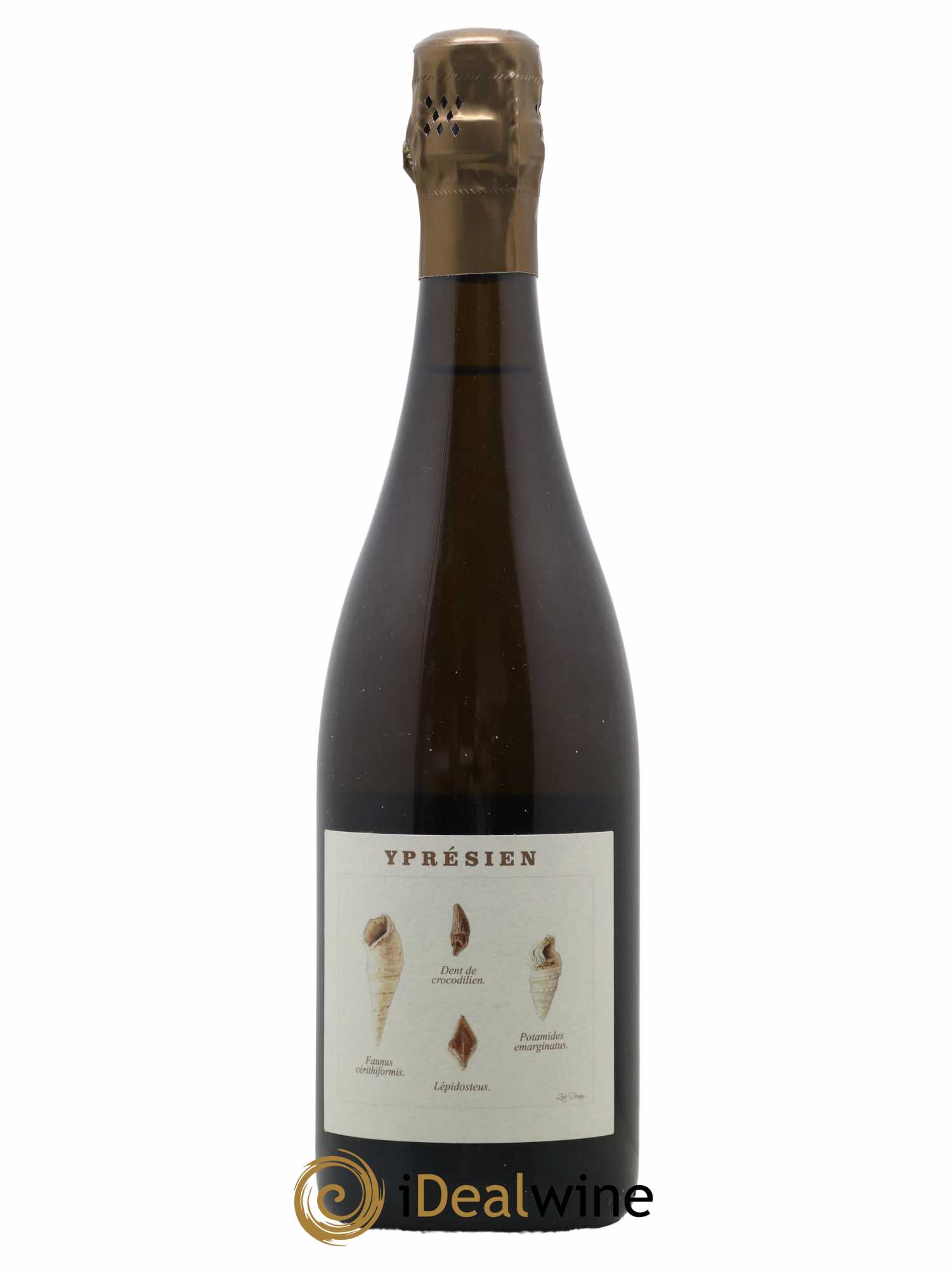 Yprésien Legrand Latour - Lot de 1 bouteille - 0