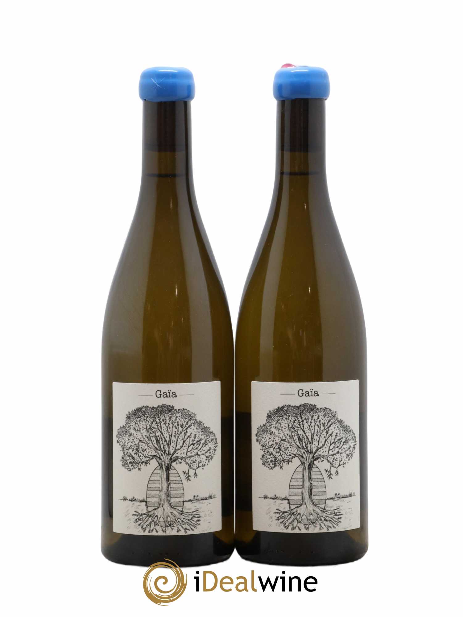 Muscadet-Sèvre-et-Maine Gaia Jérôme Bretaudeau - Domaine de Bellevue (sans prix de réserve) 2019 - Lot de 2 bouteilles - 0