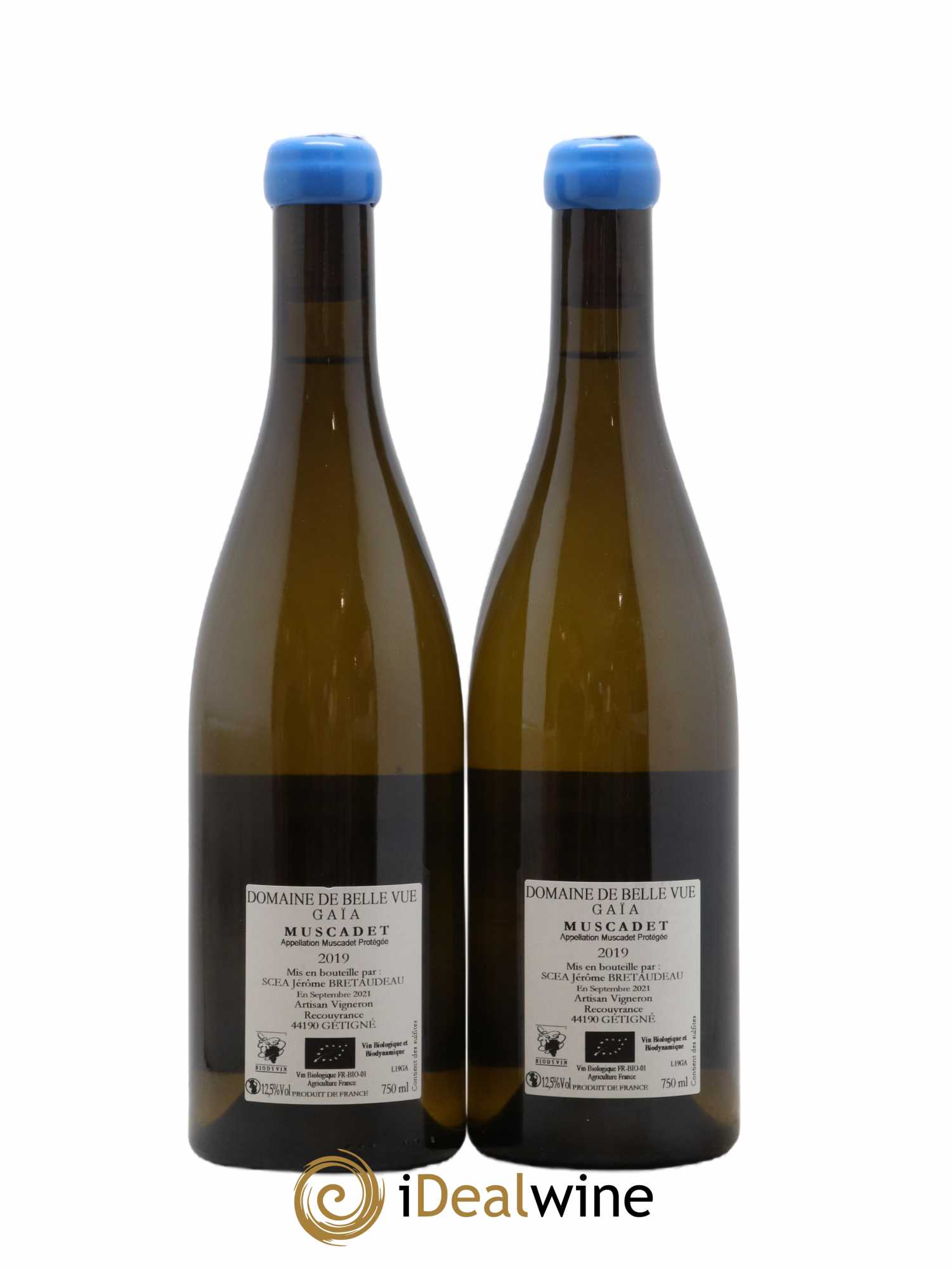 Muscadet-Sèvre-et-Maine Gaia Jérôme Bretaudeau - Domaine de Bellevue 2019 - Lot de 2 bouteilles - 1