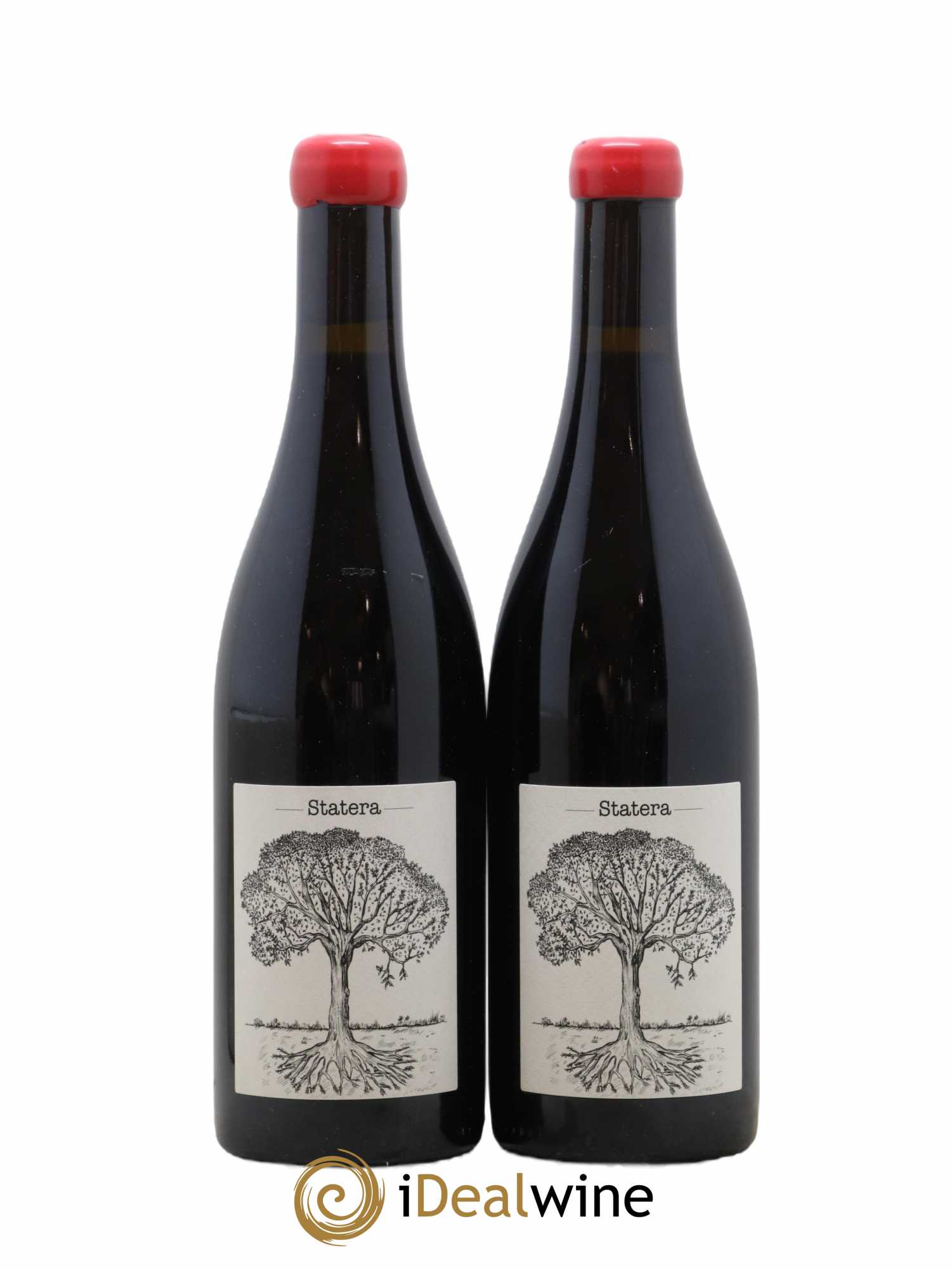 Vin de France Statera Jérôme Bretaudeau - Domaine de Bellevue 2020 - Lot de 2 bouteilles - 0