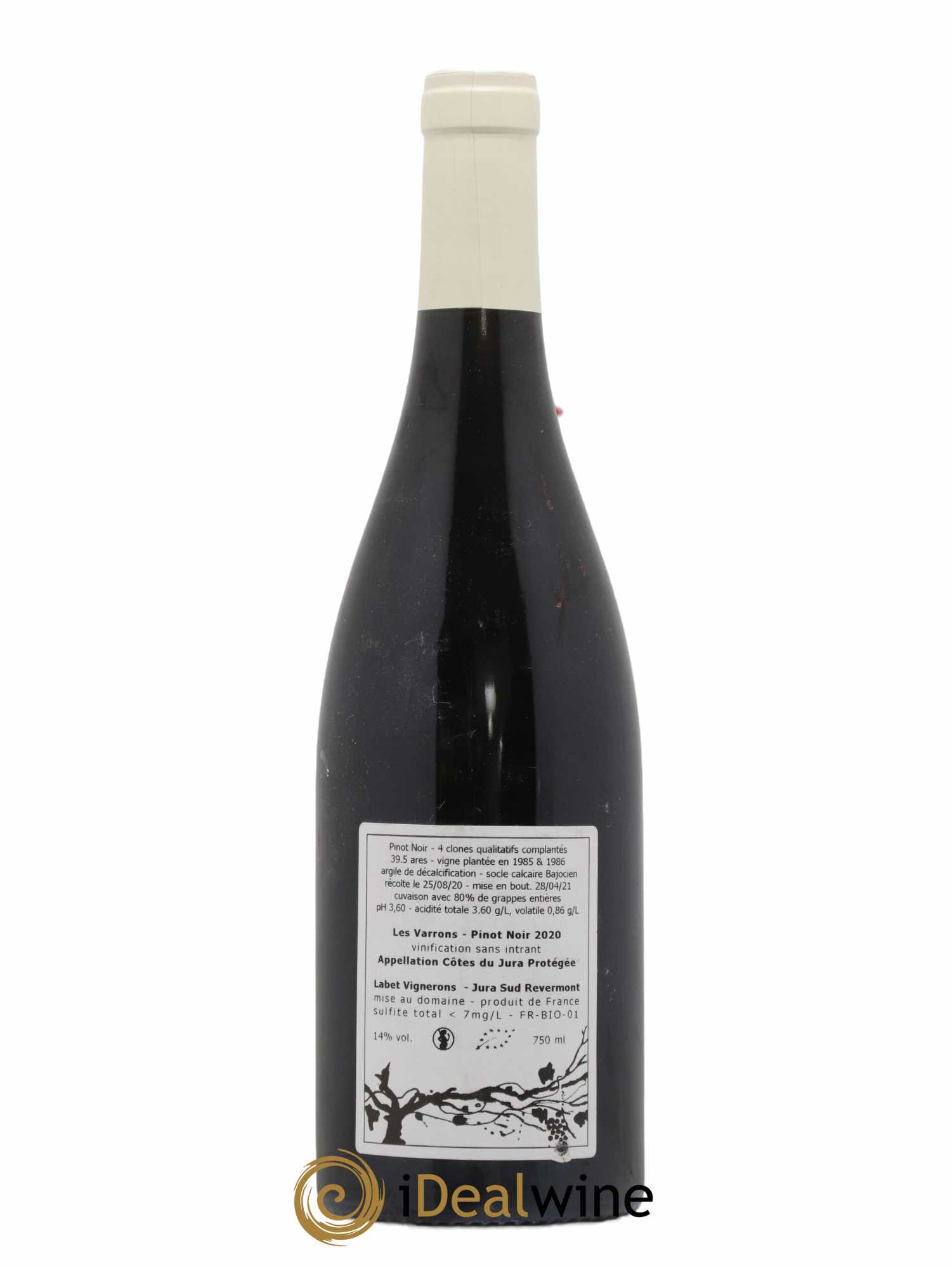 Côtes du Jura Pinot Noir Les Varrons Sélection Massale Romain - Julien  - Charline Labet  (no reserve) 2020 - Lot of 1 bottle - 1