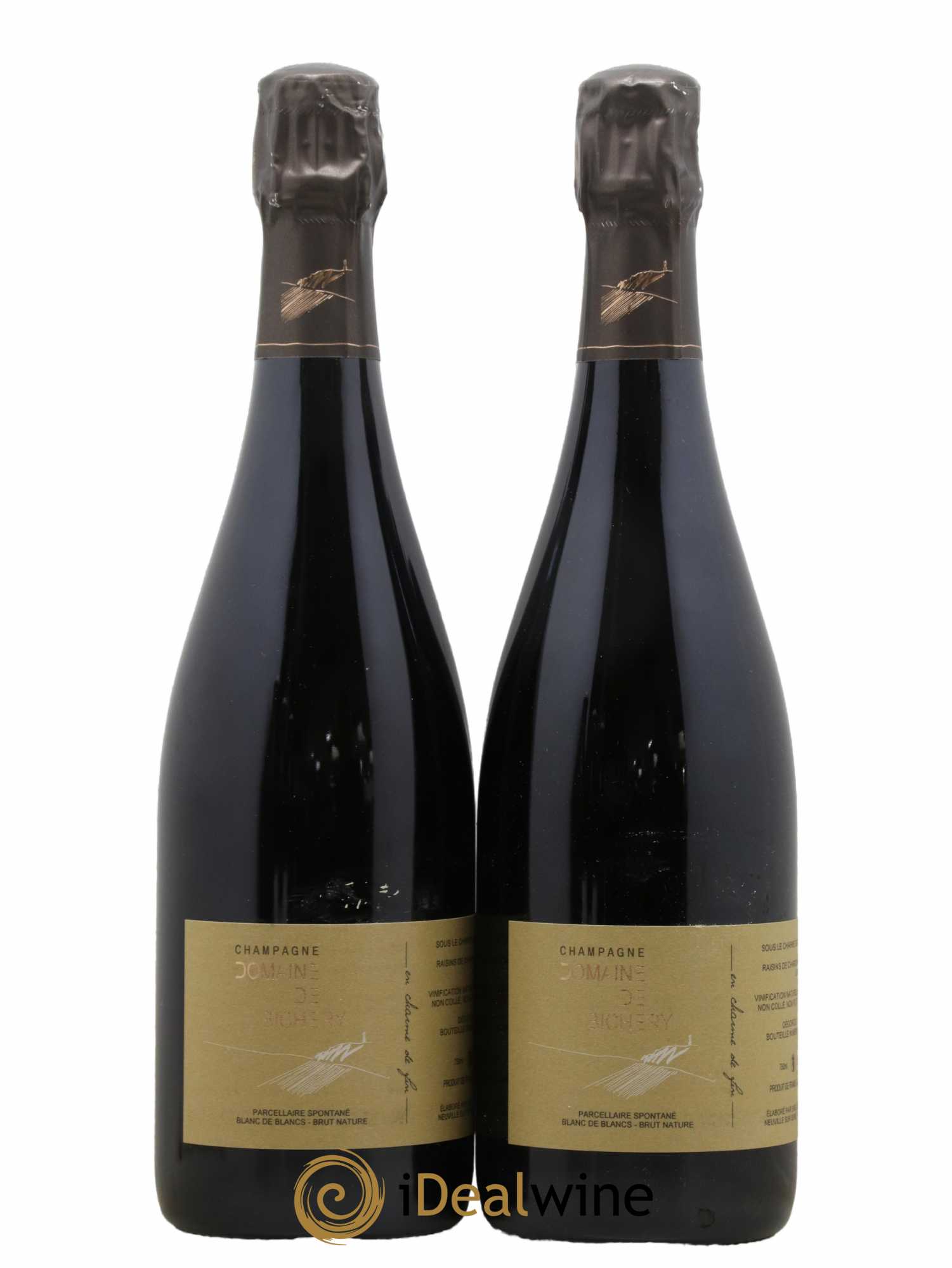 Champagne Parcellaire en Charme de Fin Bichery 2019 - Posten von 2 Flaschen - 0
