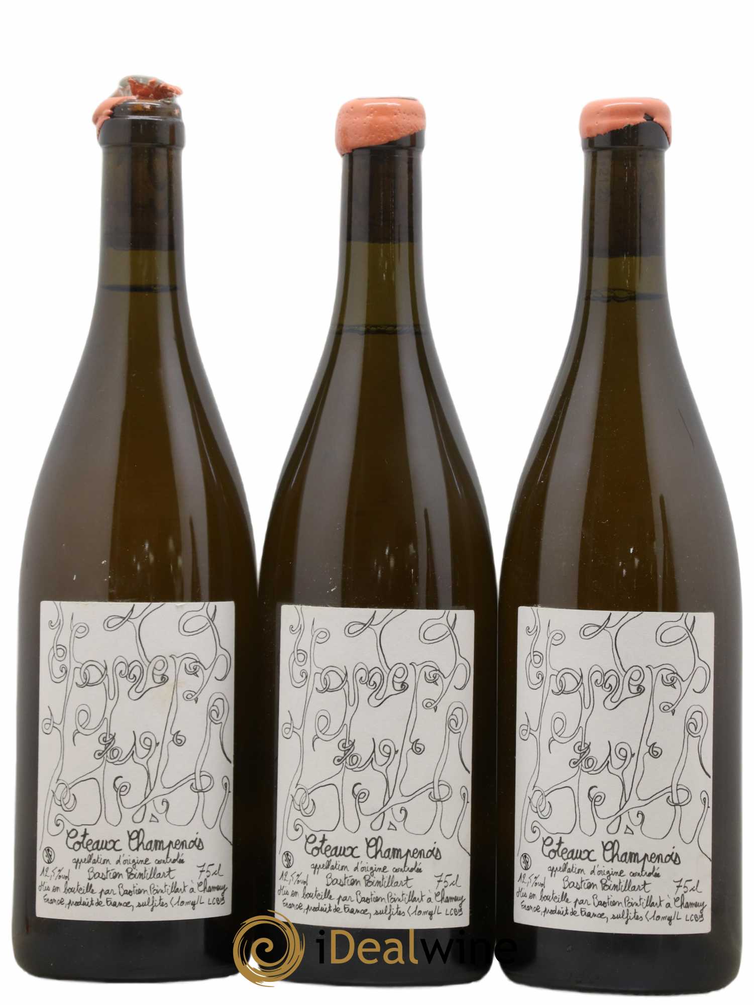 Coteaux Champenois Chamery Bastian Pointillard 2019 - Posten von 3 Flaschen - 0