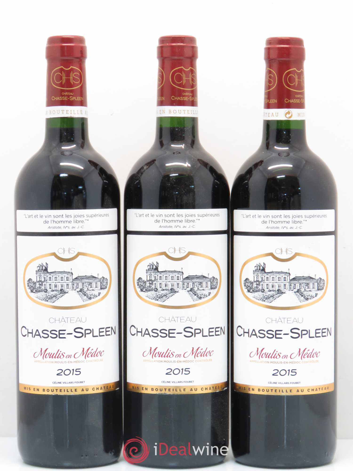 Château Chasse Spleen 2015 - Lot de 12 bouteilles - 2