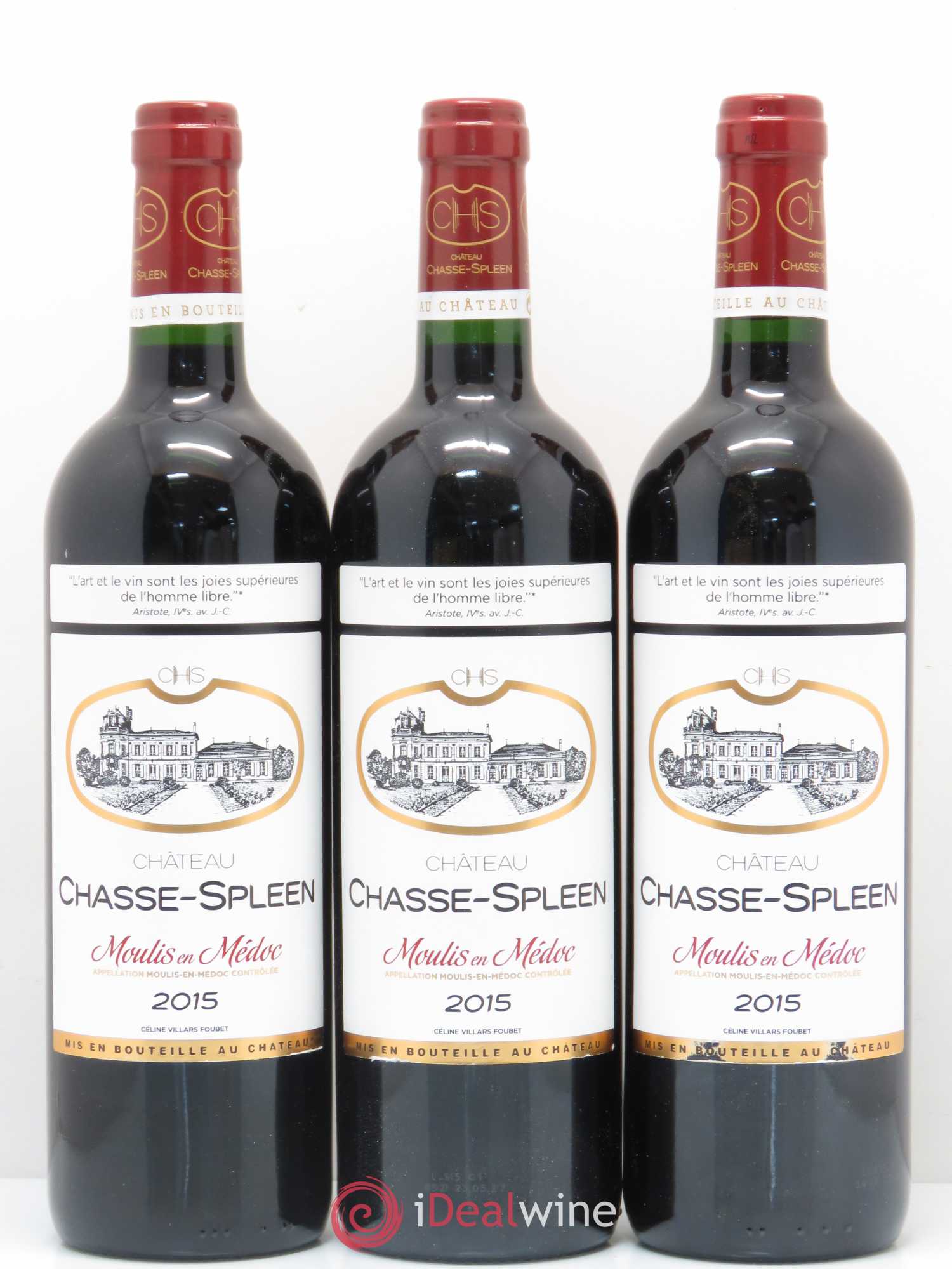 Château Chasse Spleen 2015 - Lot de 12 bouteilles - 4