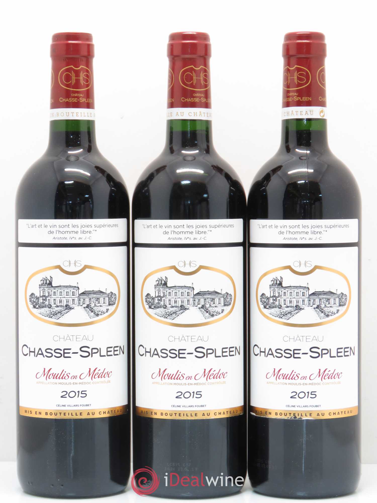 Château Chasse Spleen 2015 - Lot de 6 bouteilles - 2