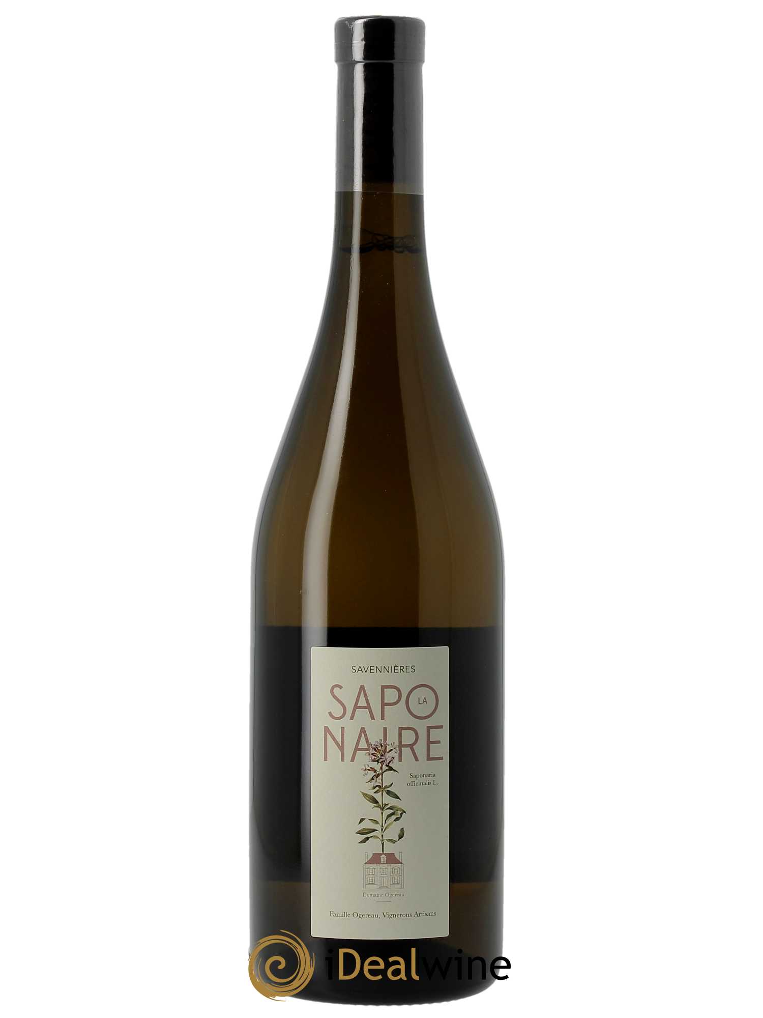 Savennières La Saponaire Domaine Ogereau 2021 - Lot of 1 bottle - 0