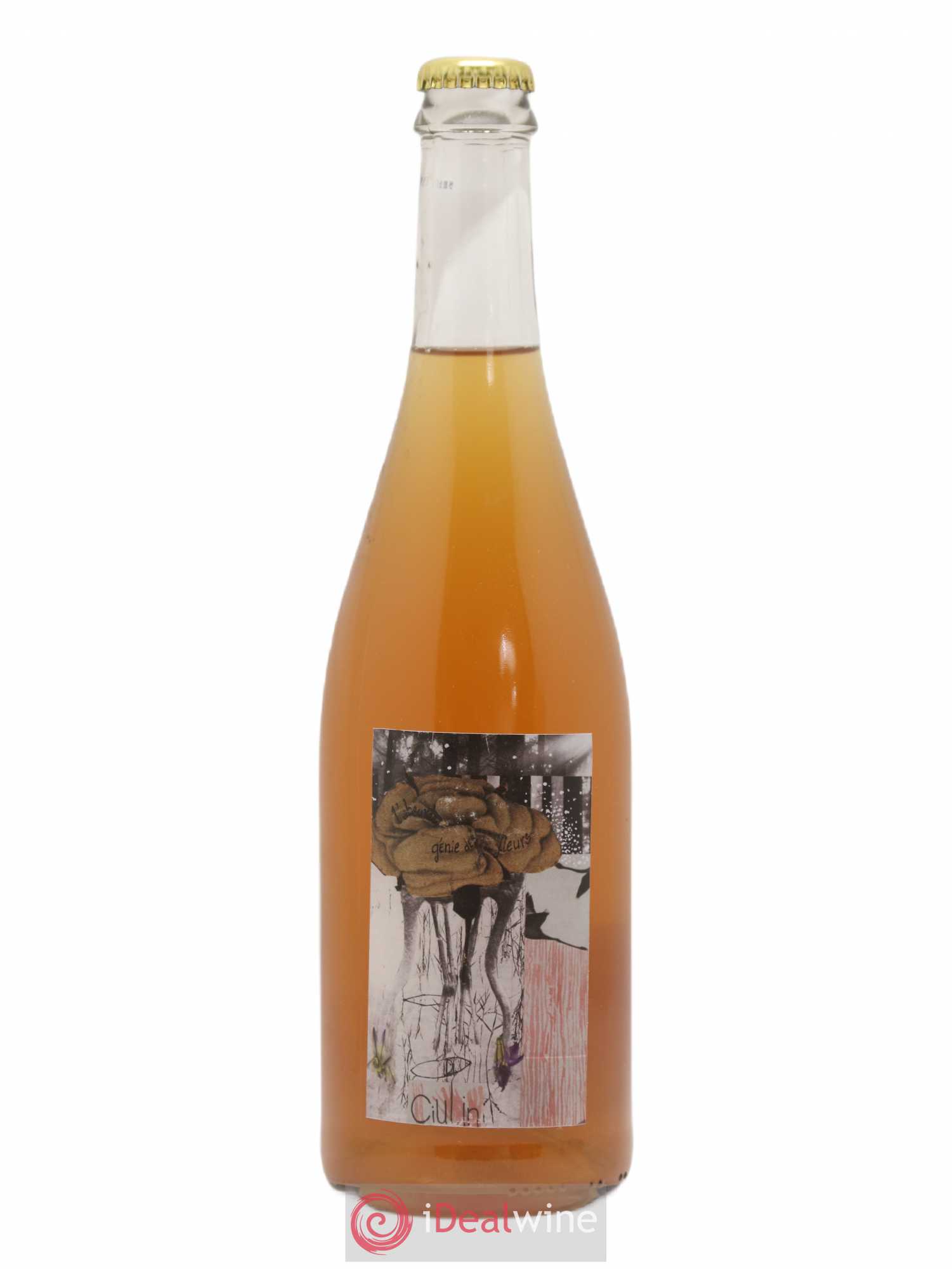 Vin de France Ciulin L'Absurde génie des fleurs 2019 - Posten von 1 Flasche - 0