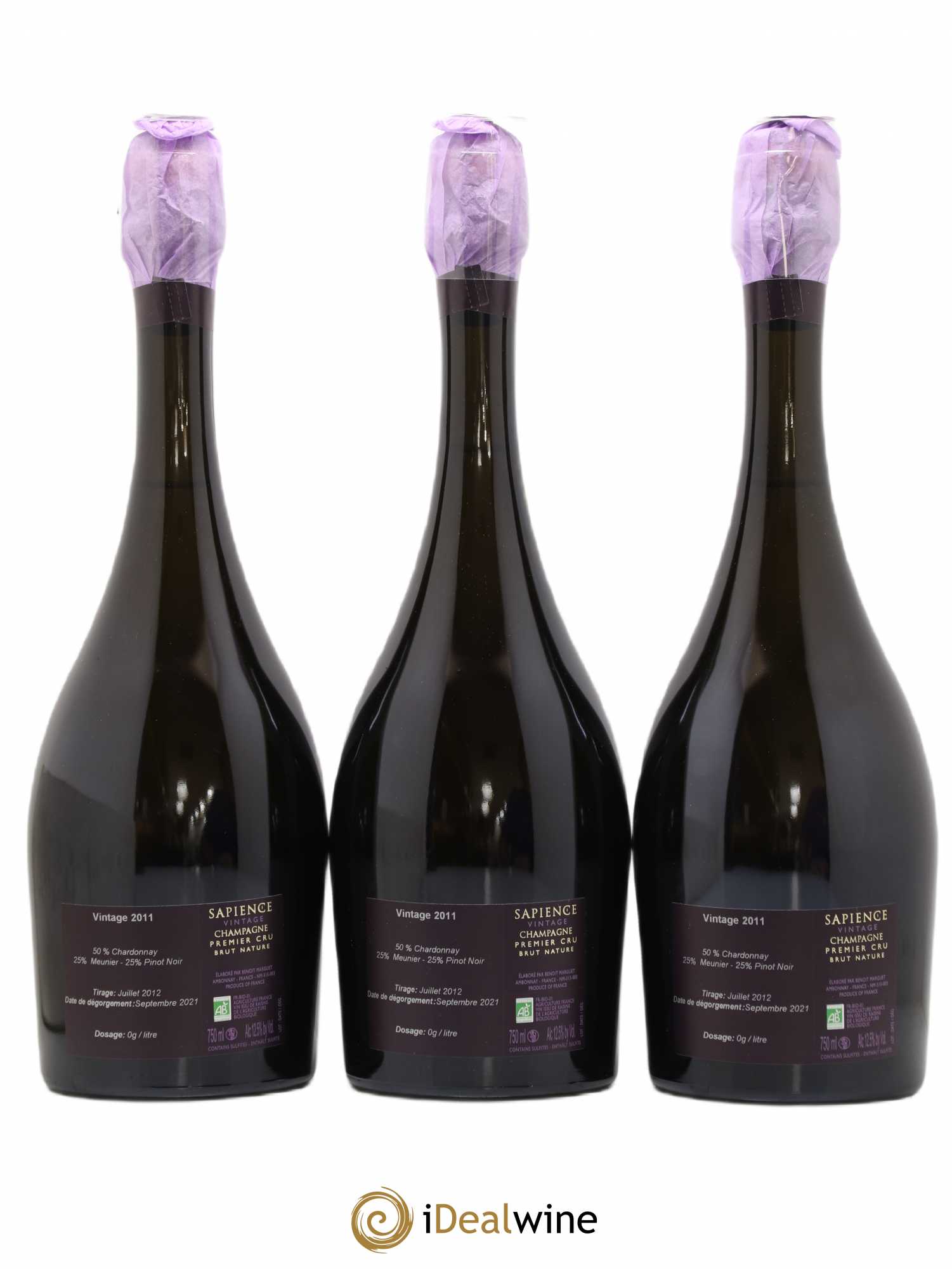 Sapience 1er Cru Brut Nature Marguet 2011 - Lot de 3 bouteilles - 1