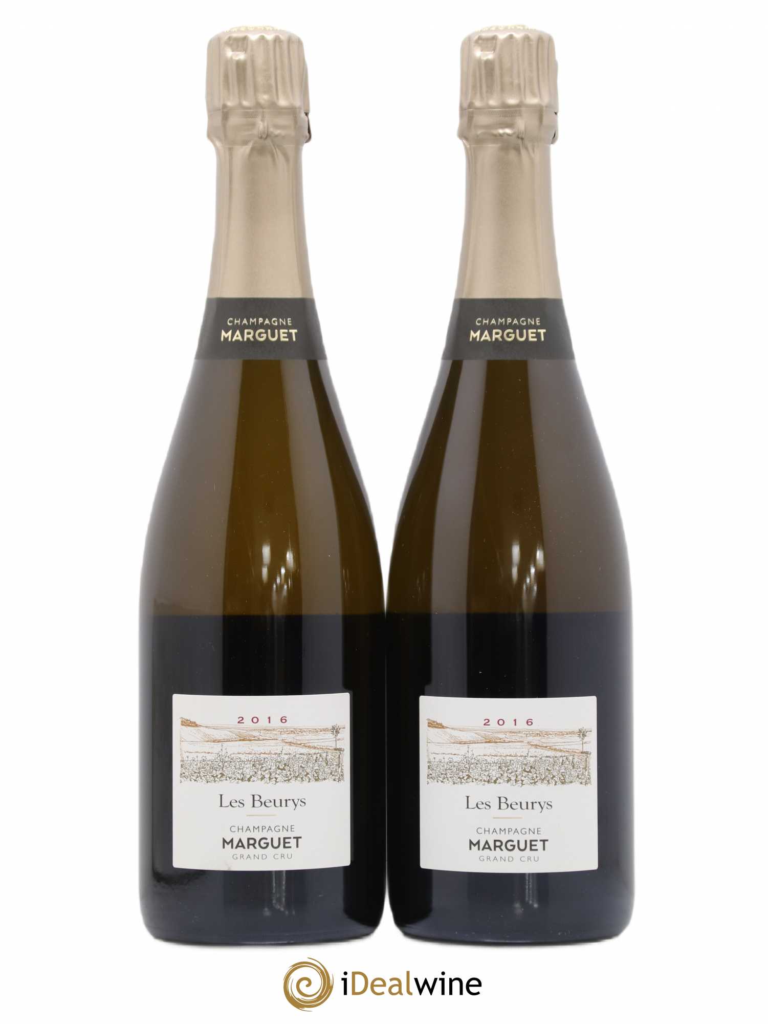 Champagne 2016 - Posten von 2 Flaschen - 0