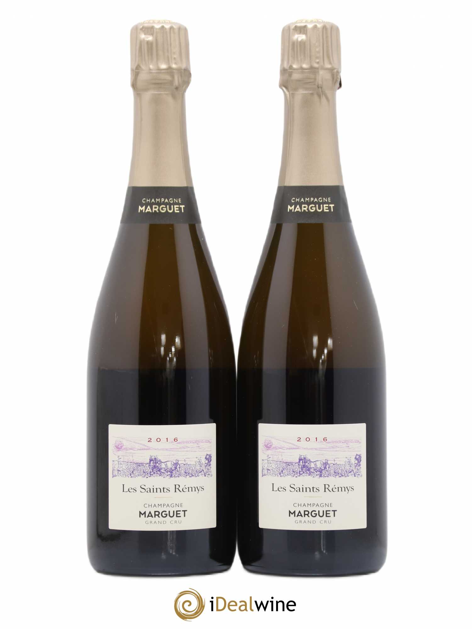 Champagne 2016 - Posten von 2 Flaschen - 0