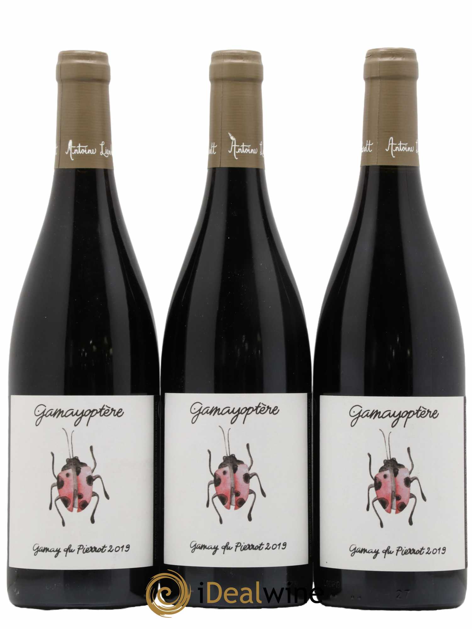 Coteaux Bourguignons Gamayoptère Antoine Lienhardt 2019 - Lot de 3 bouteilles - 0