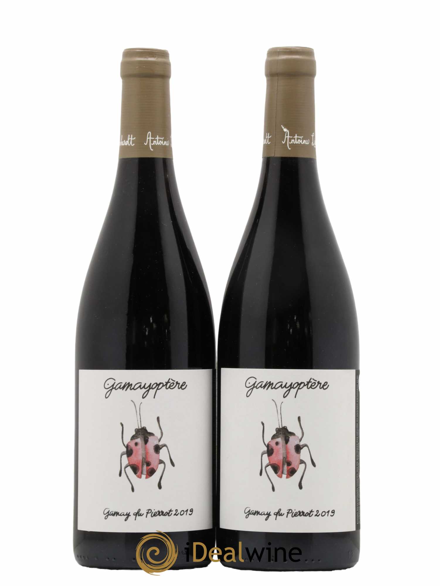Coteaux Bourguignons Gamayoptère Antoine Lienhardt 2019 - Lot de 2 bouteilles - 0