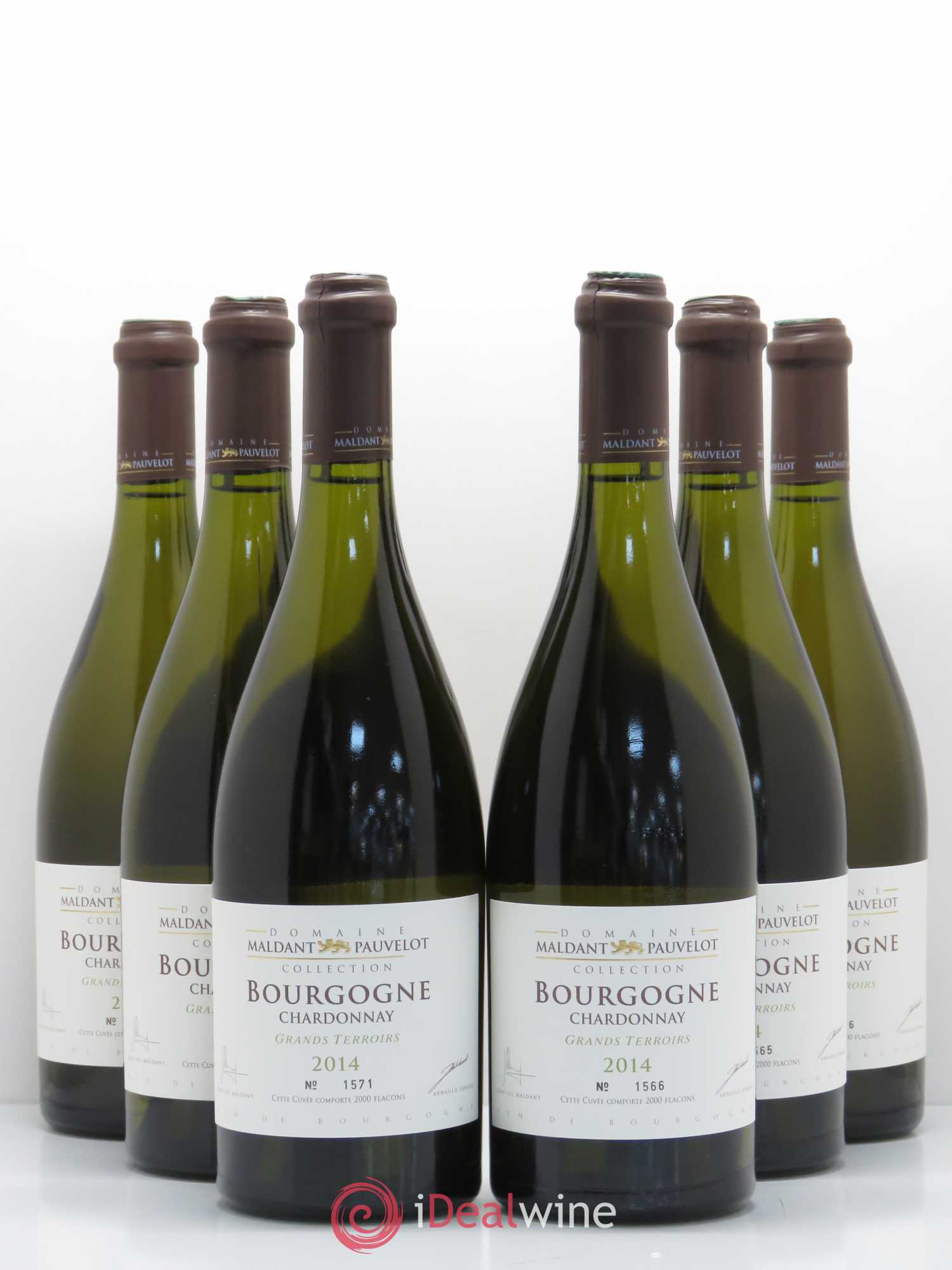 Bourgogne Chardonnay Grands Terroirs Domaine Maldant Pauvelot 2014 - Posten von 1 Flasche - 0